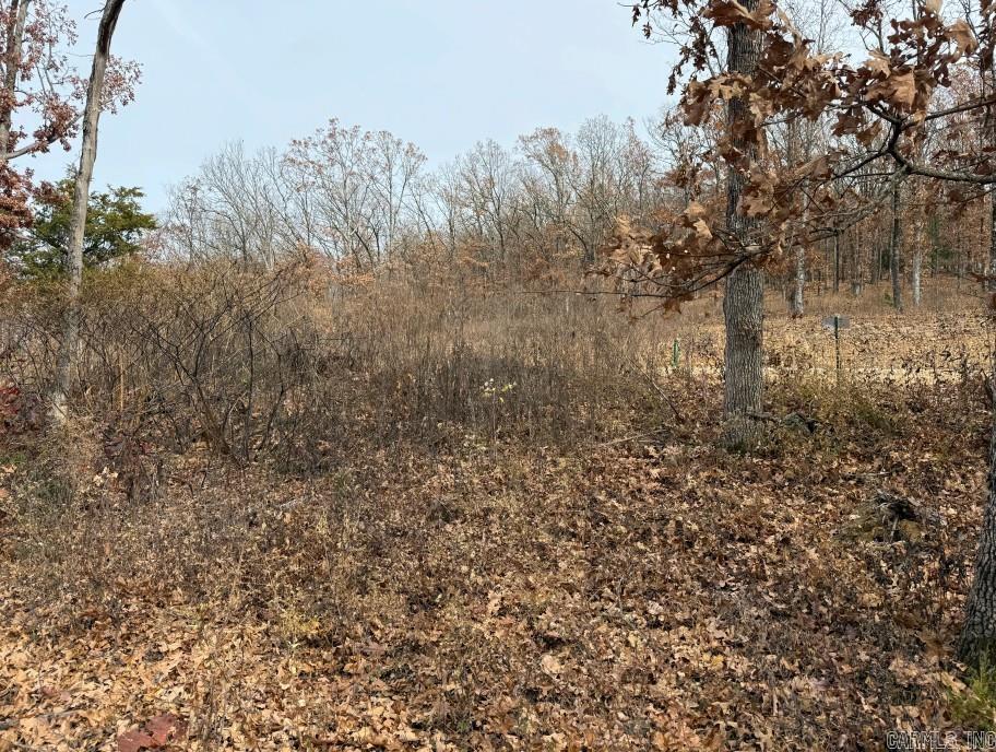 Lot 65 Restore  Harrison, AR