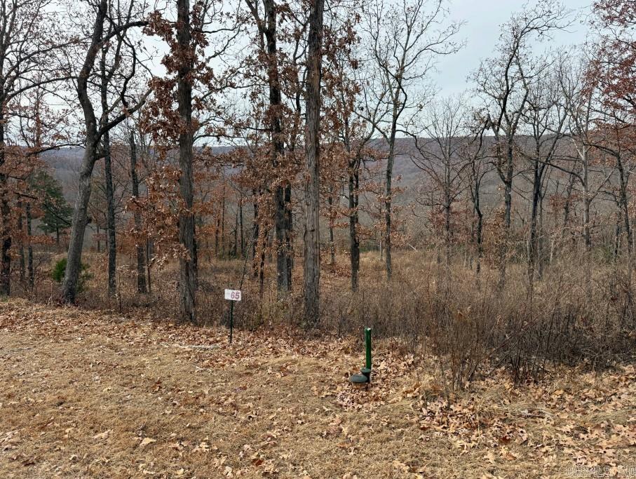 Lot 65 Restore  Harrison, AR