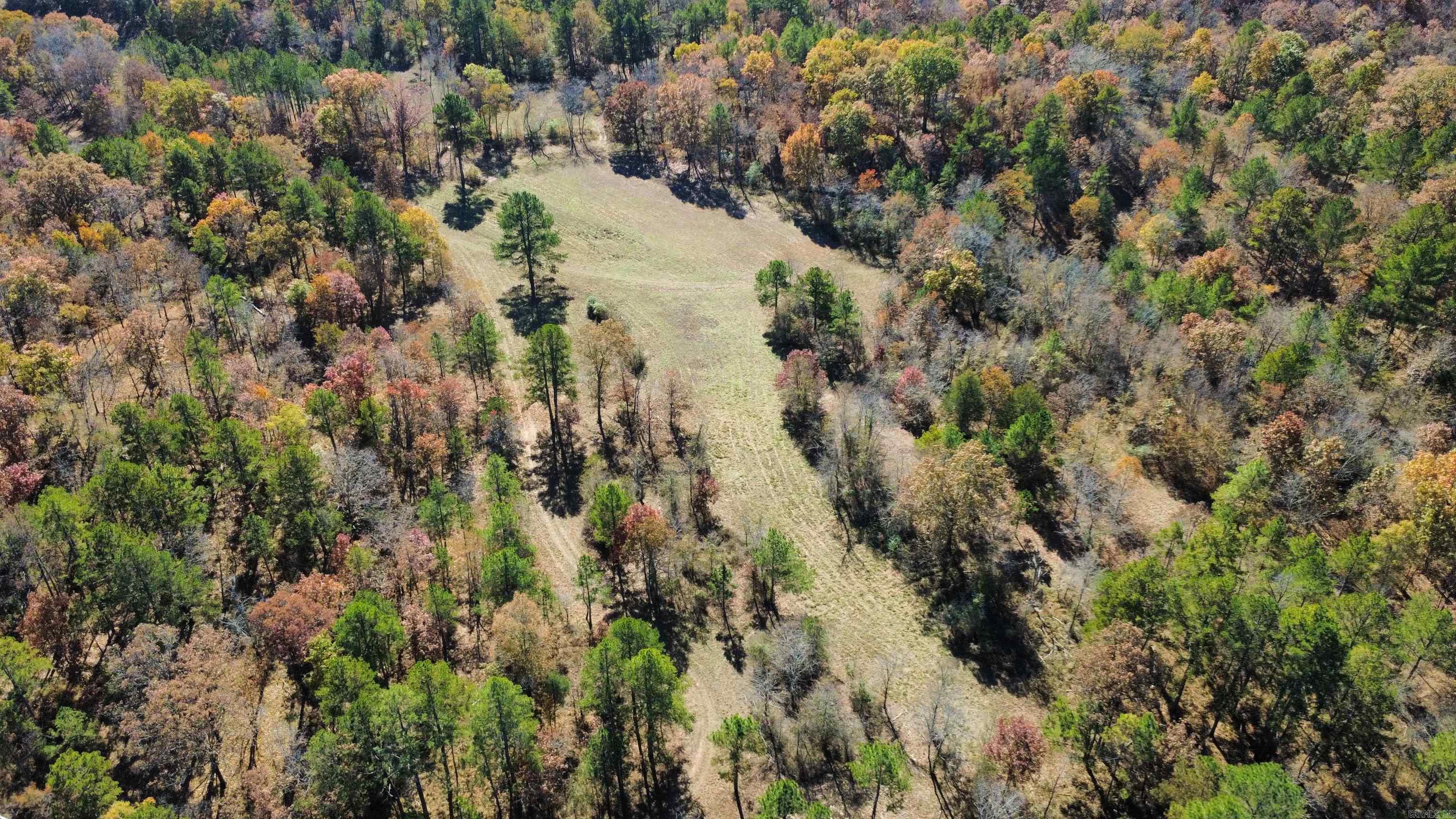  W Main Haul  Jessieville, AR