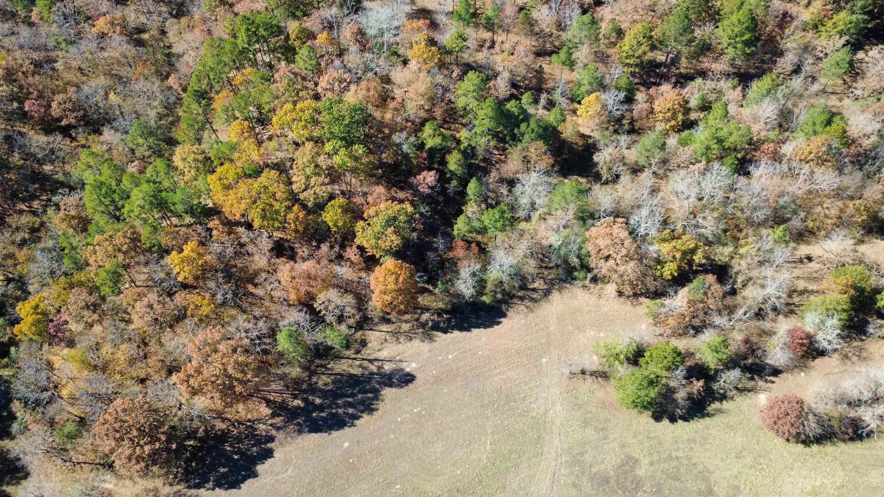  W Main Haul  Jessieville, AR