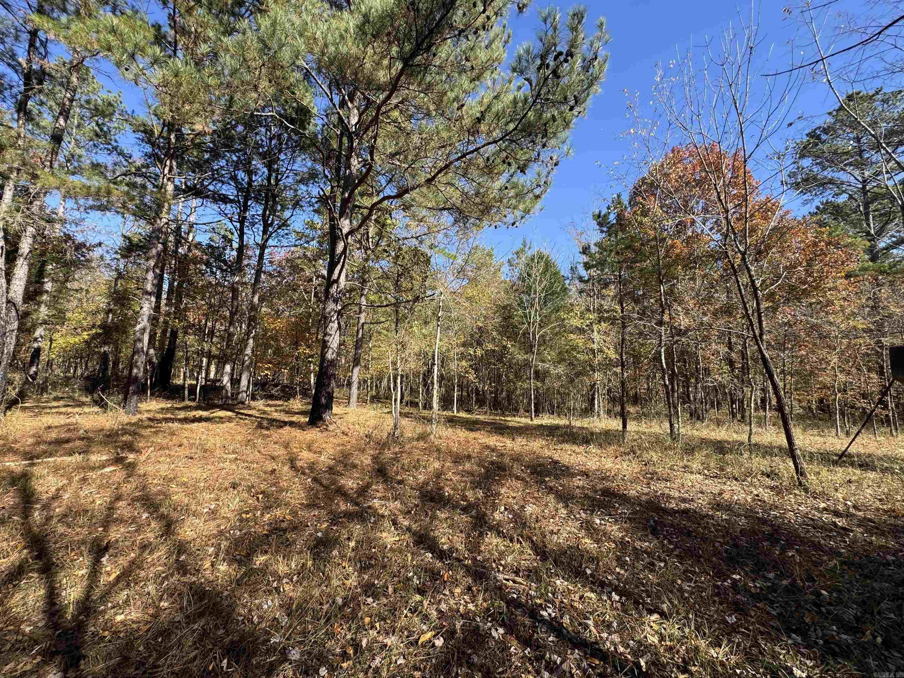  W Main Haul  Jessieville, AR