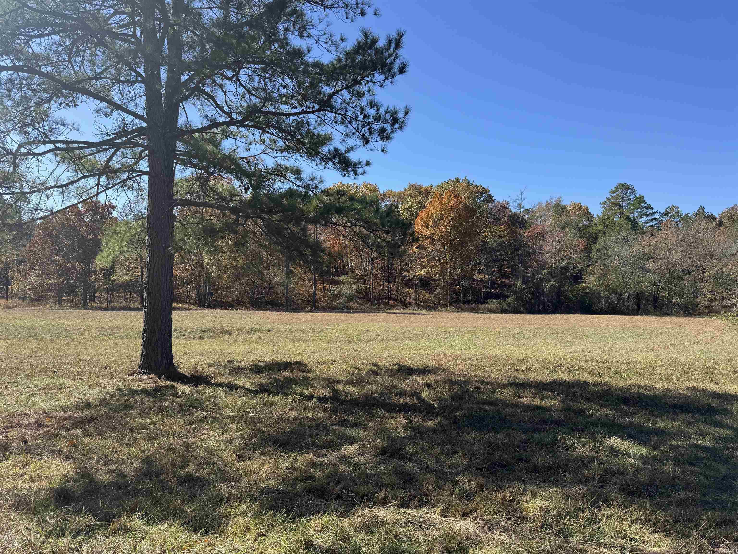  W Main Haul  Jessieville, AR