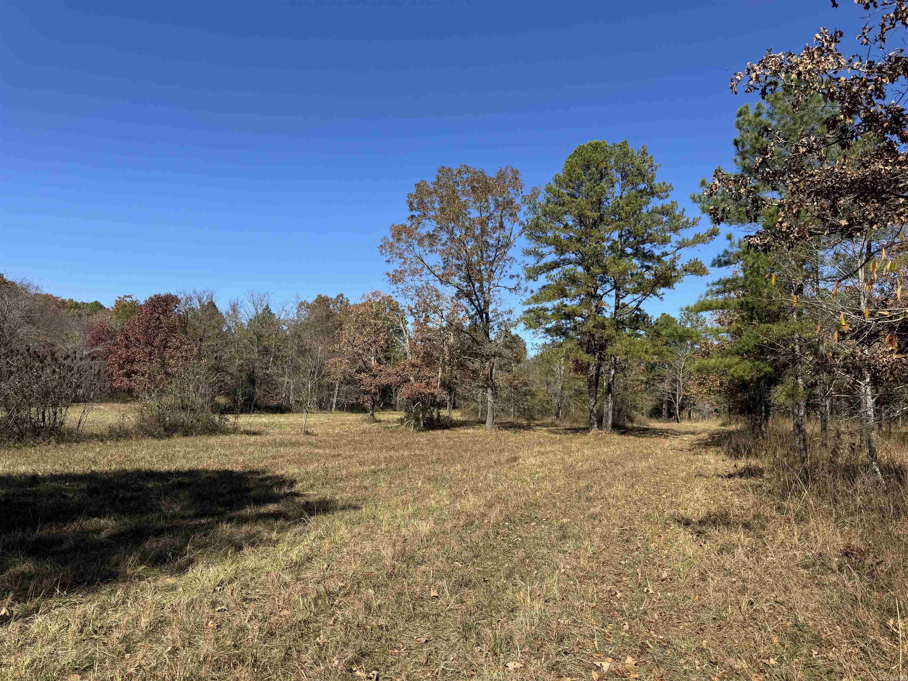  W Main Haul  Jessieville, AR