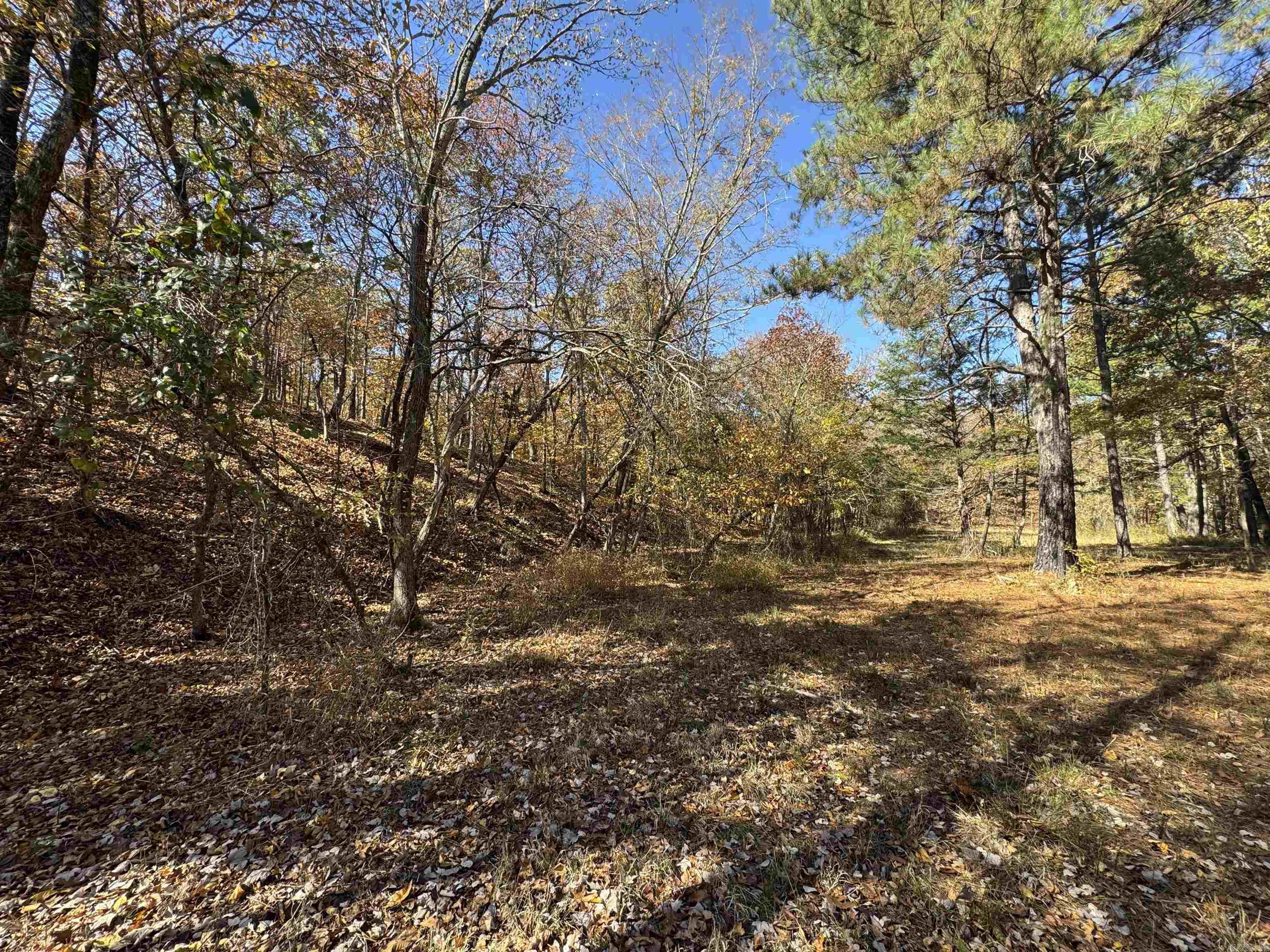  W Main Haul  Jessieville, AR