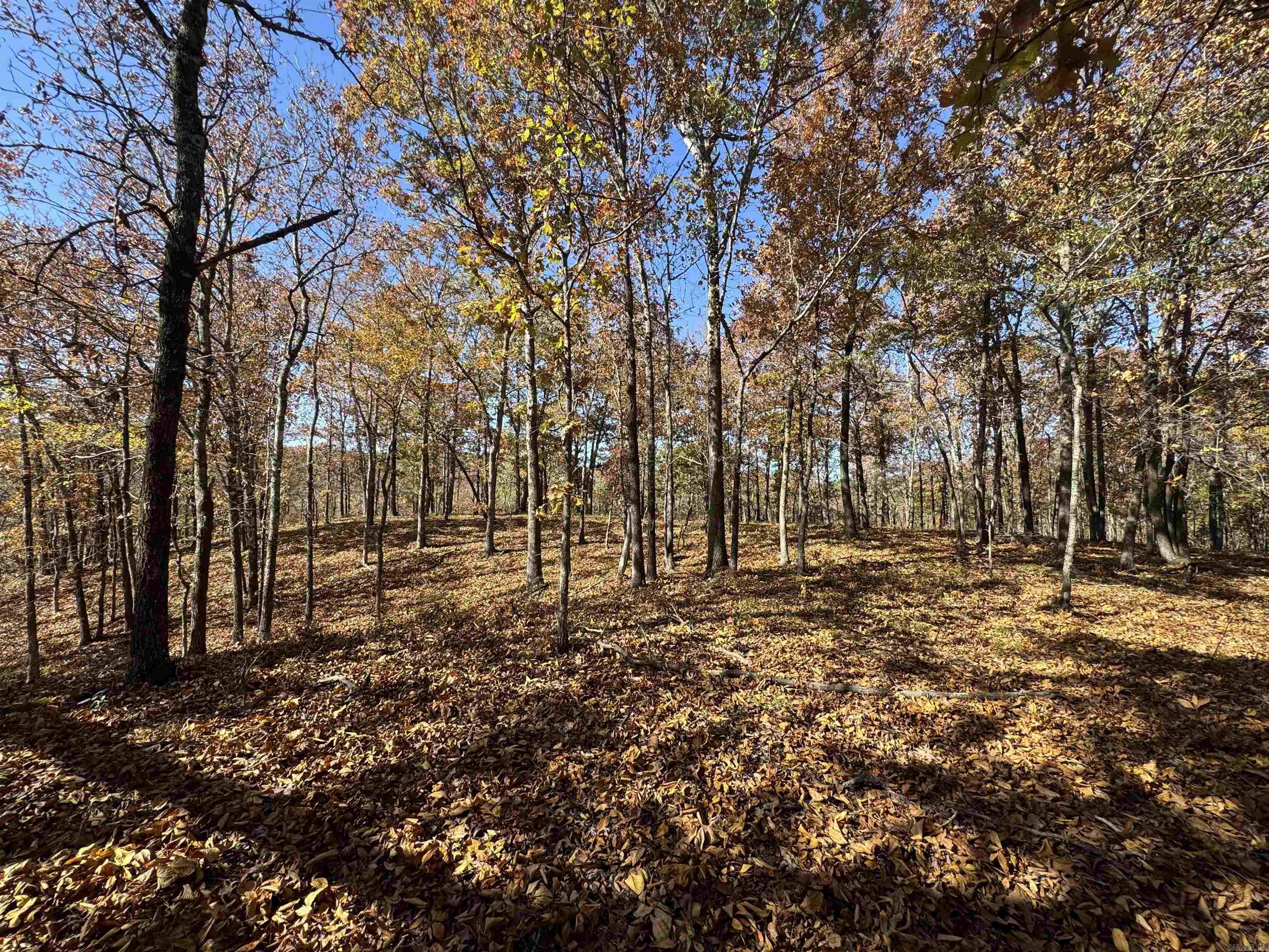  W Main Haul  Jessieville, AR