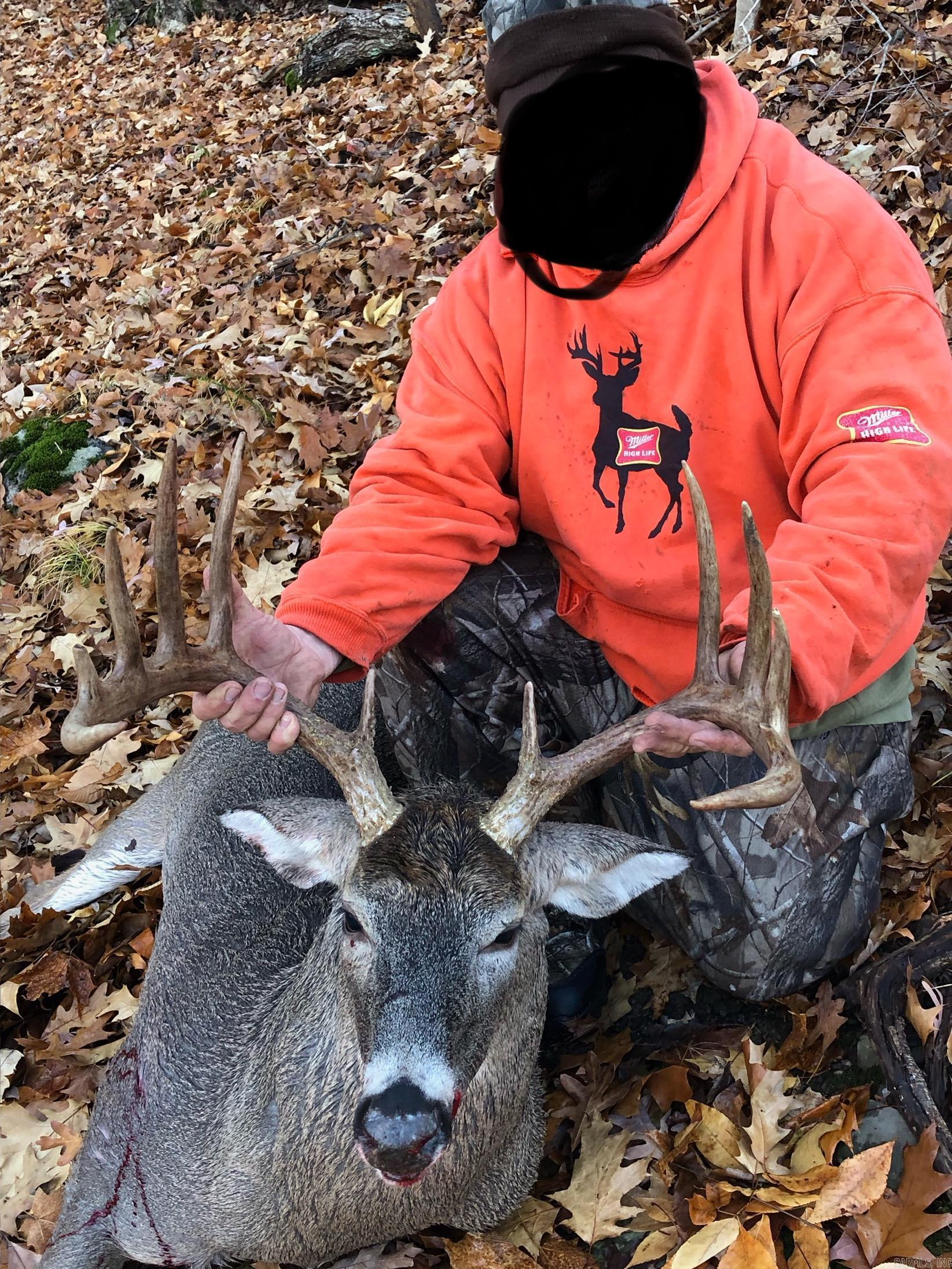  W Main Haul  Jessieville, AR