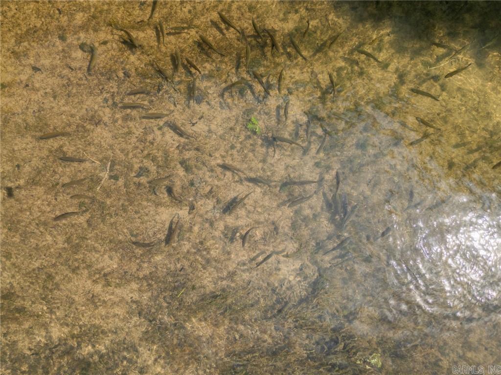 350 Devitos  Harrison, AR