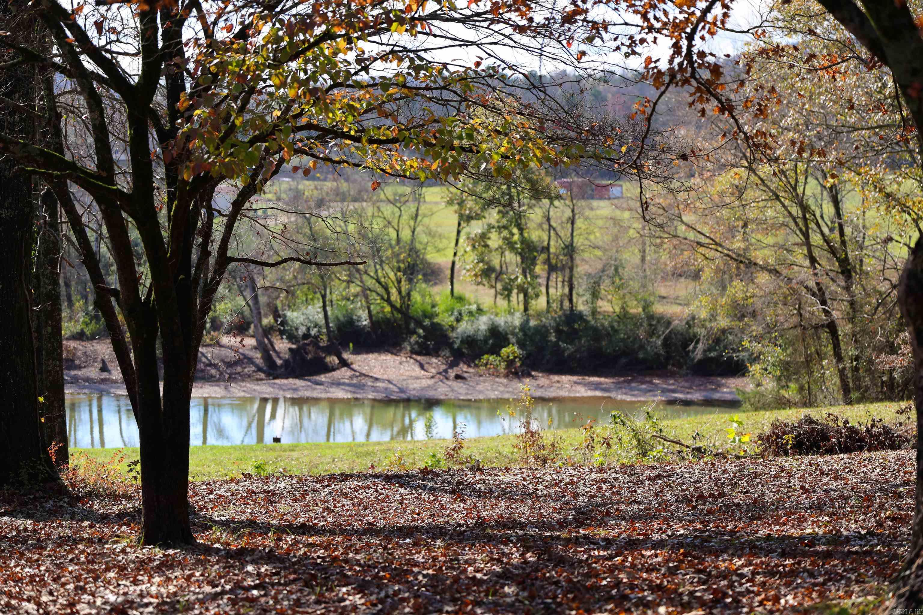 116 Loyd Cogburn  Glenwood, AR