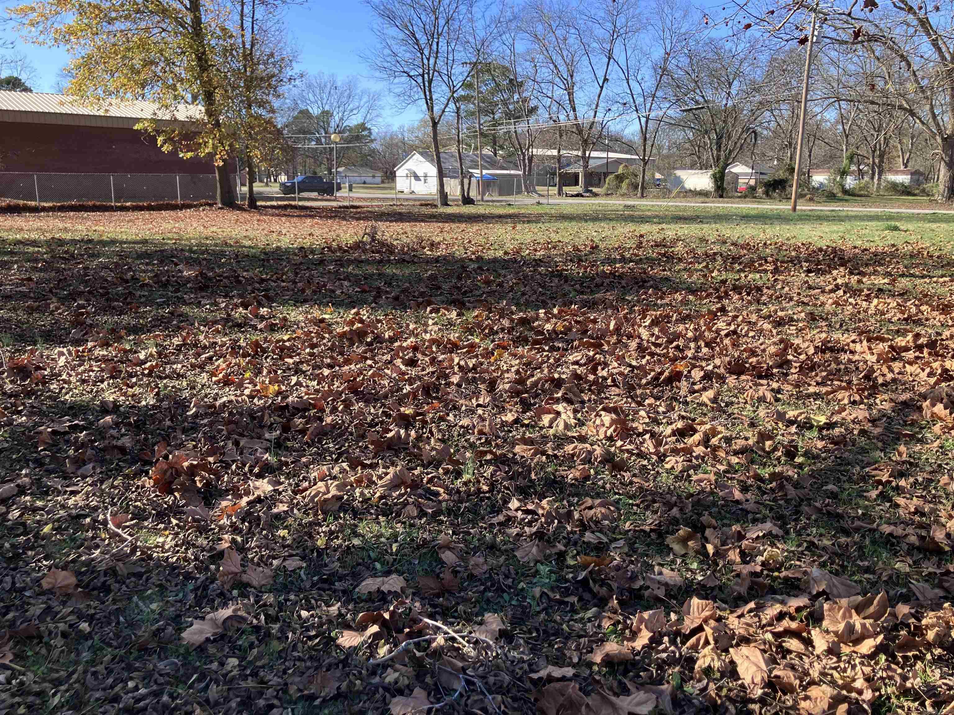 000 Vine  Bald Knob, AR