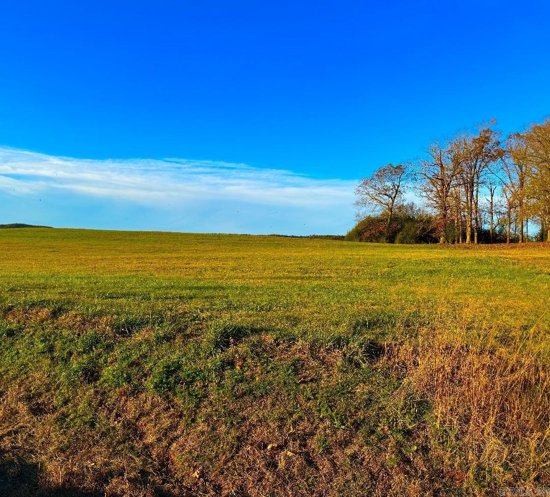 XXX HWY 84  Glenwood, AR