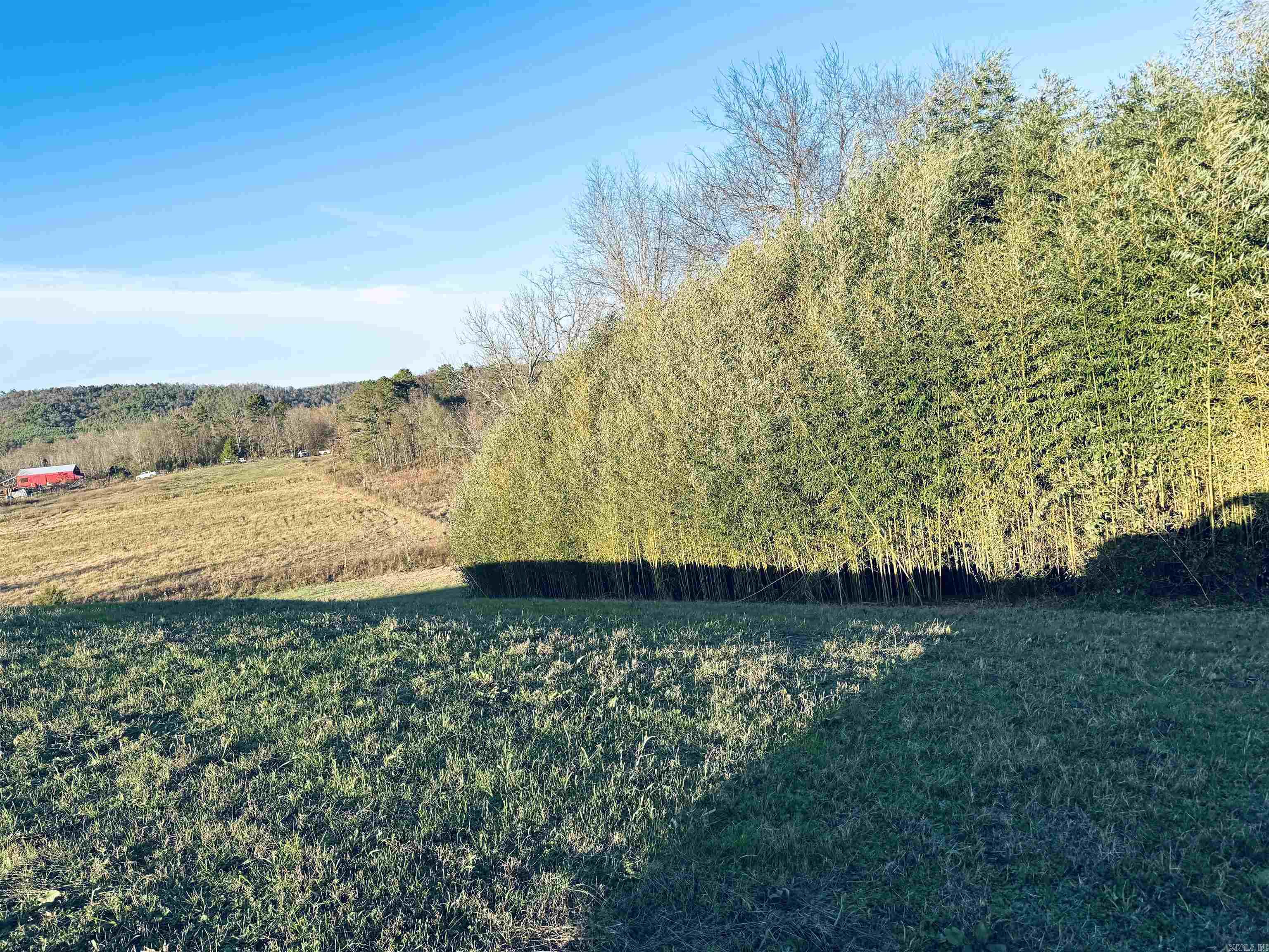 XXX HWY 84  Glenwood, AR