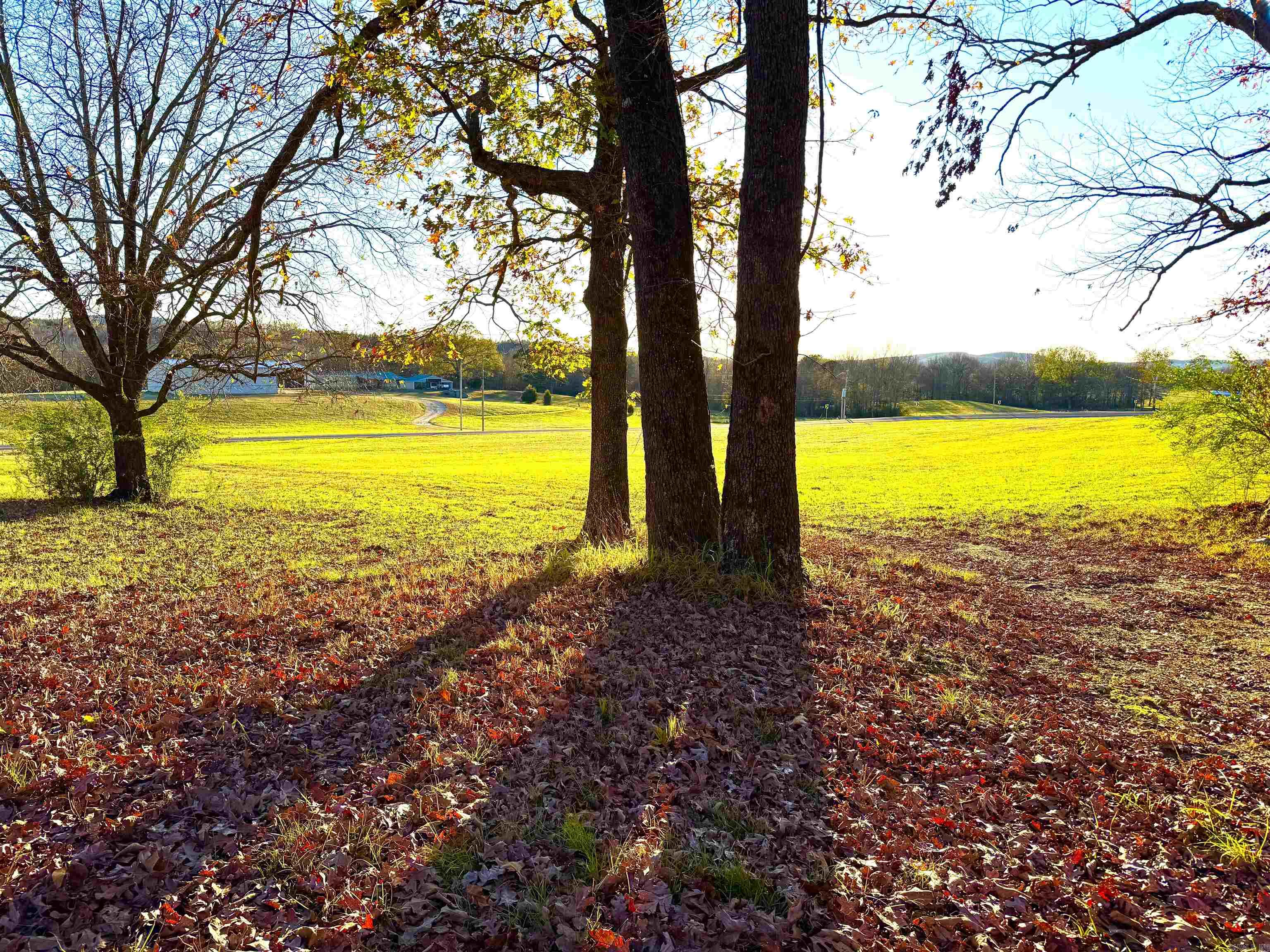 XXX HWY 84  Glenwood, AR