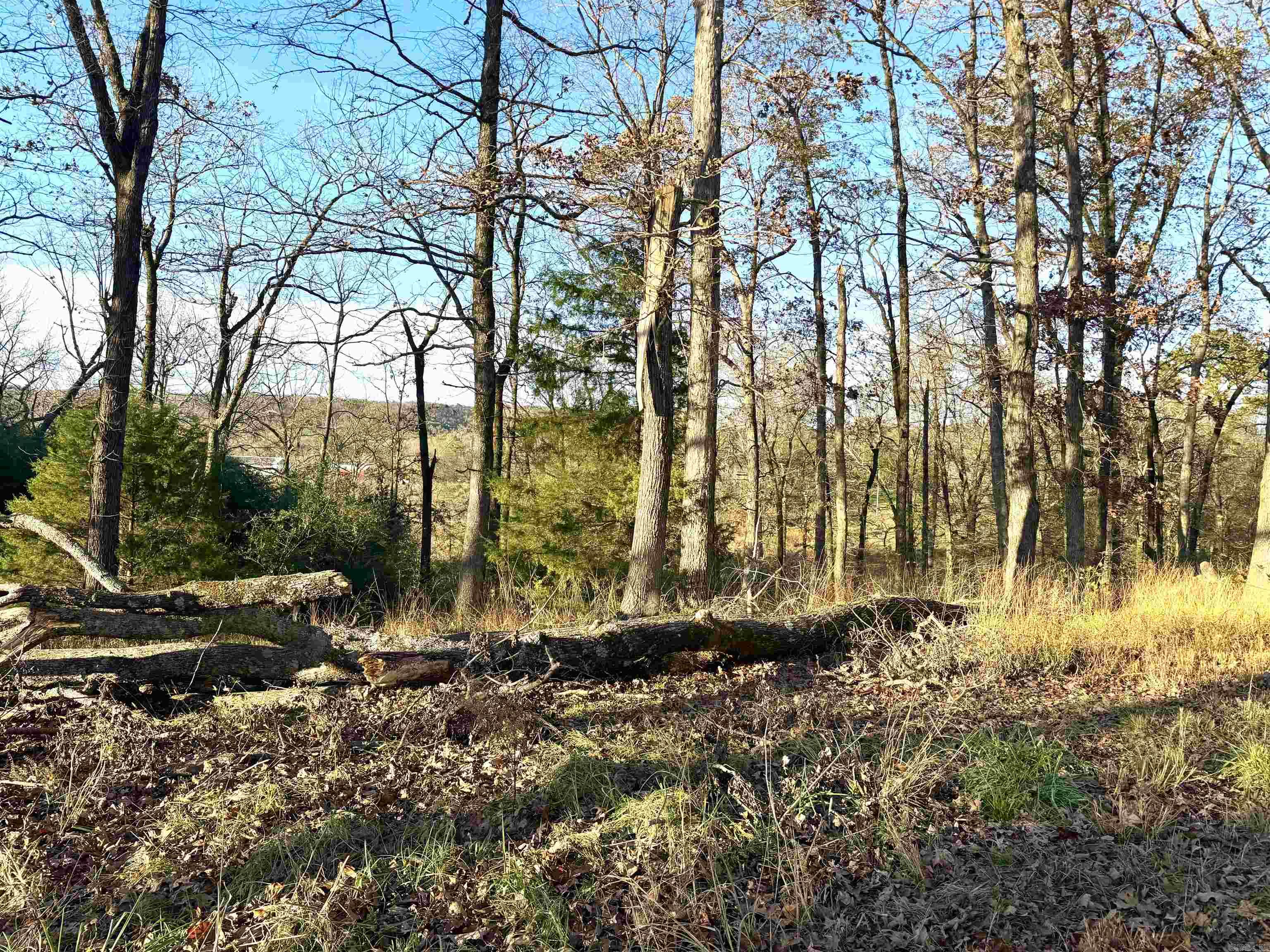 XXX HWY 84  Glenwood, AR