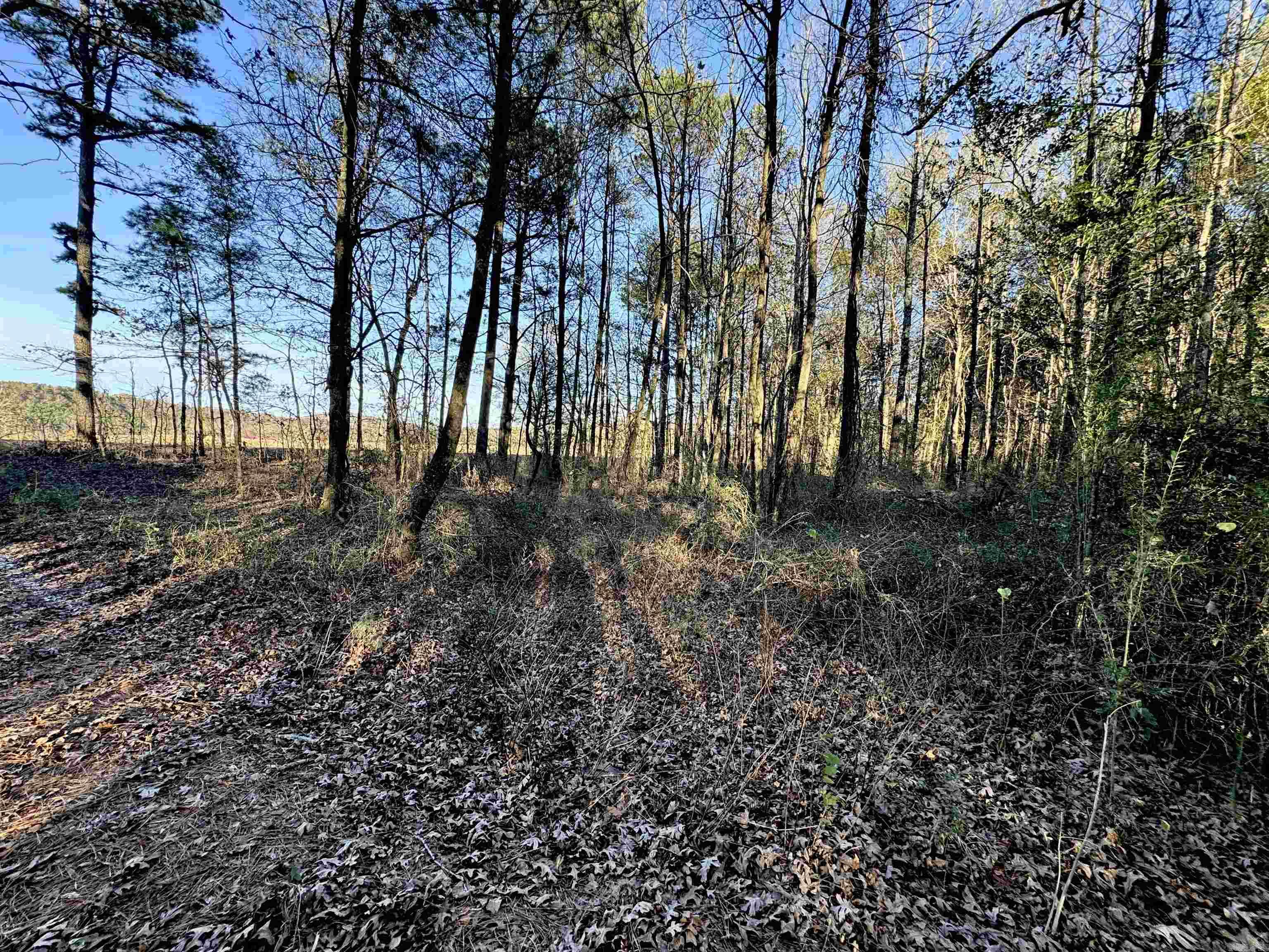 XXX HWY 84  Glenwood, AR