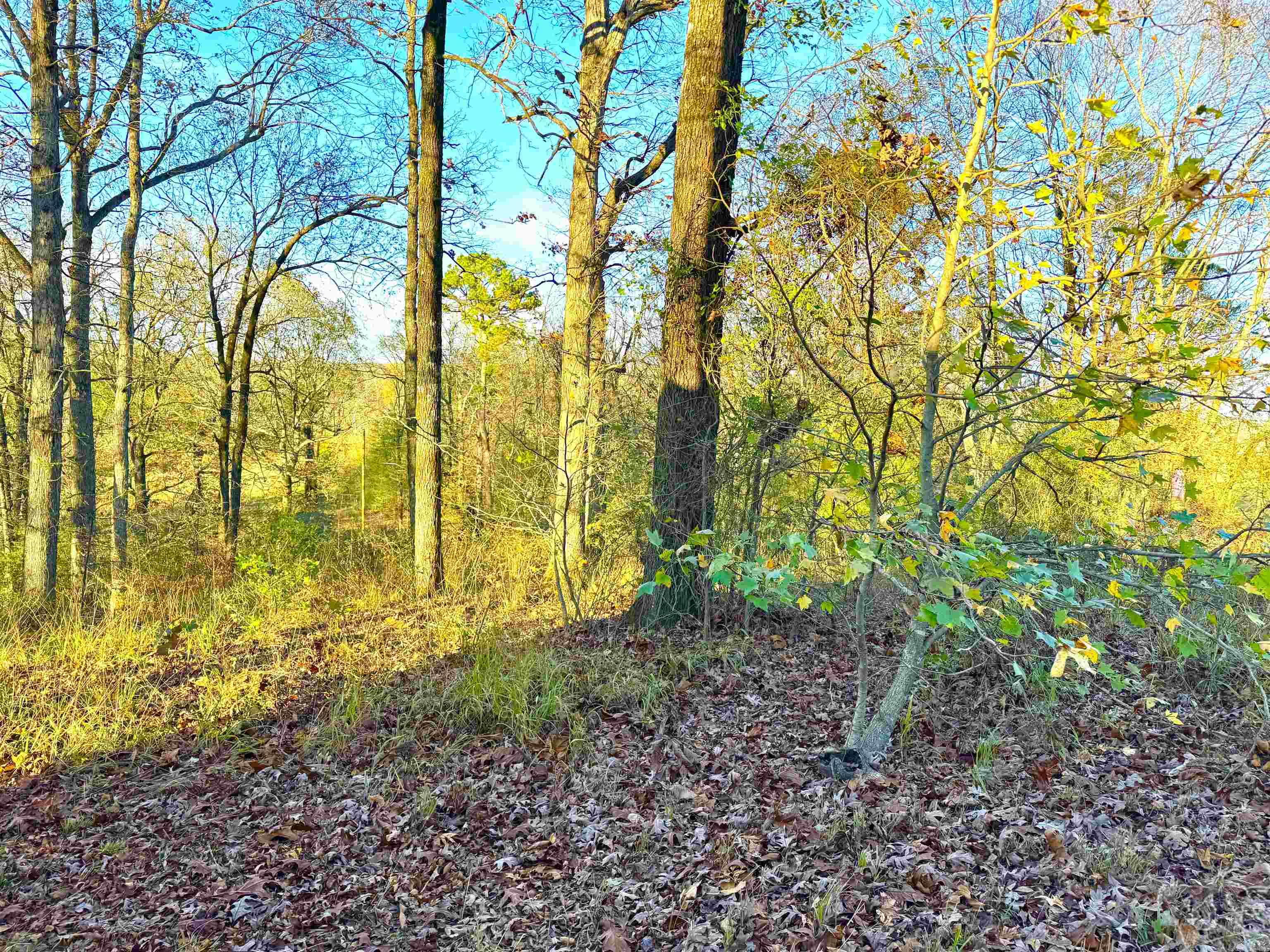 XXX HWY 84  Glenwood, AR