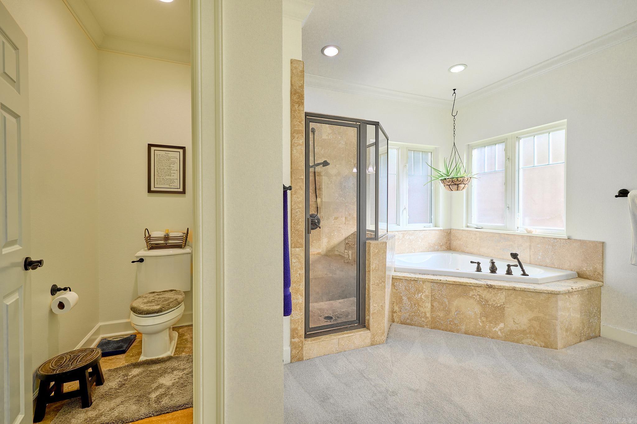 19220 Crystal Oaks Trail  Little Rock, AR