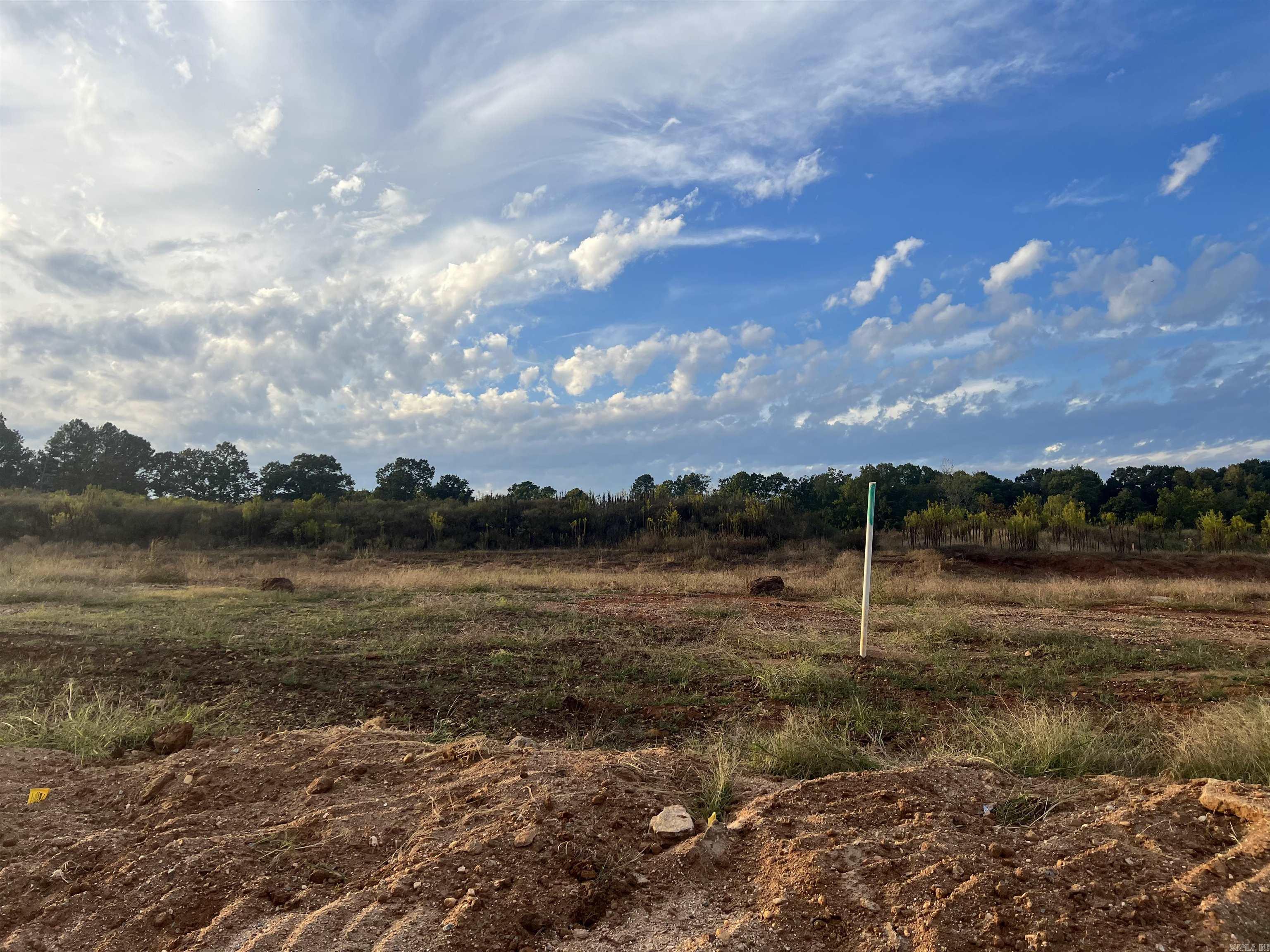 Lot 91 Harmony Village  Benton, AR