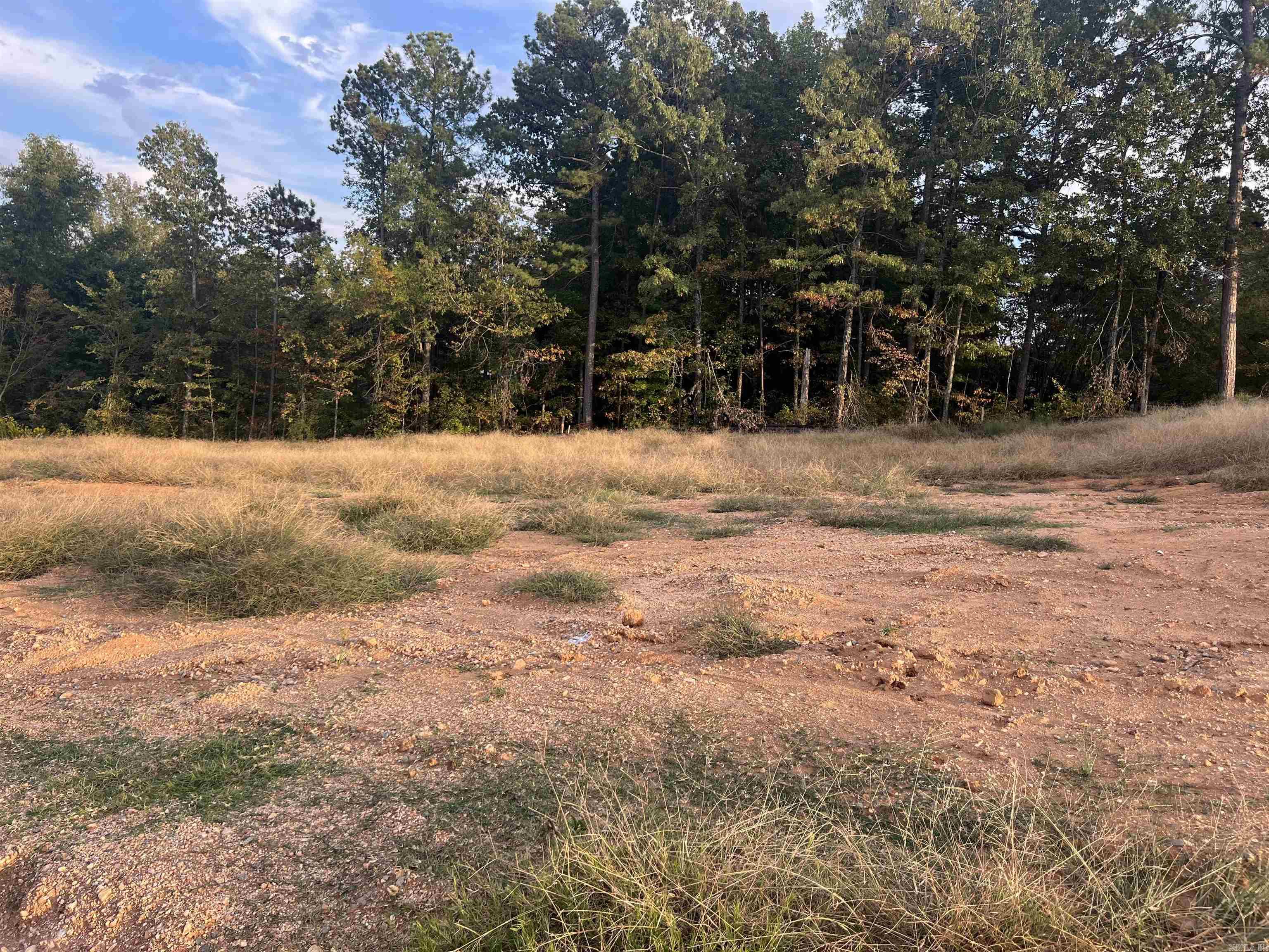 Lot 91 Harmony Village  Benton, AR