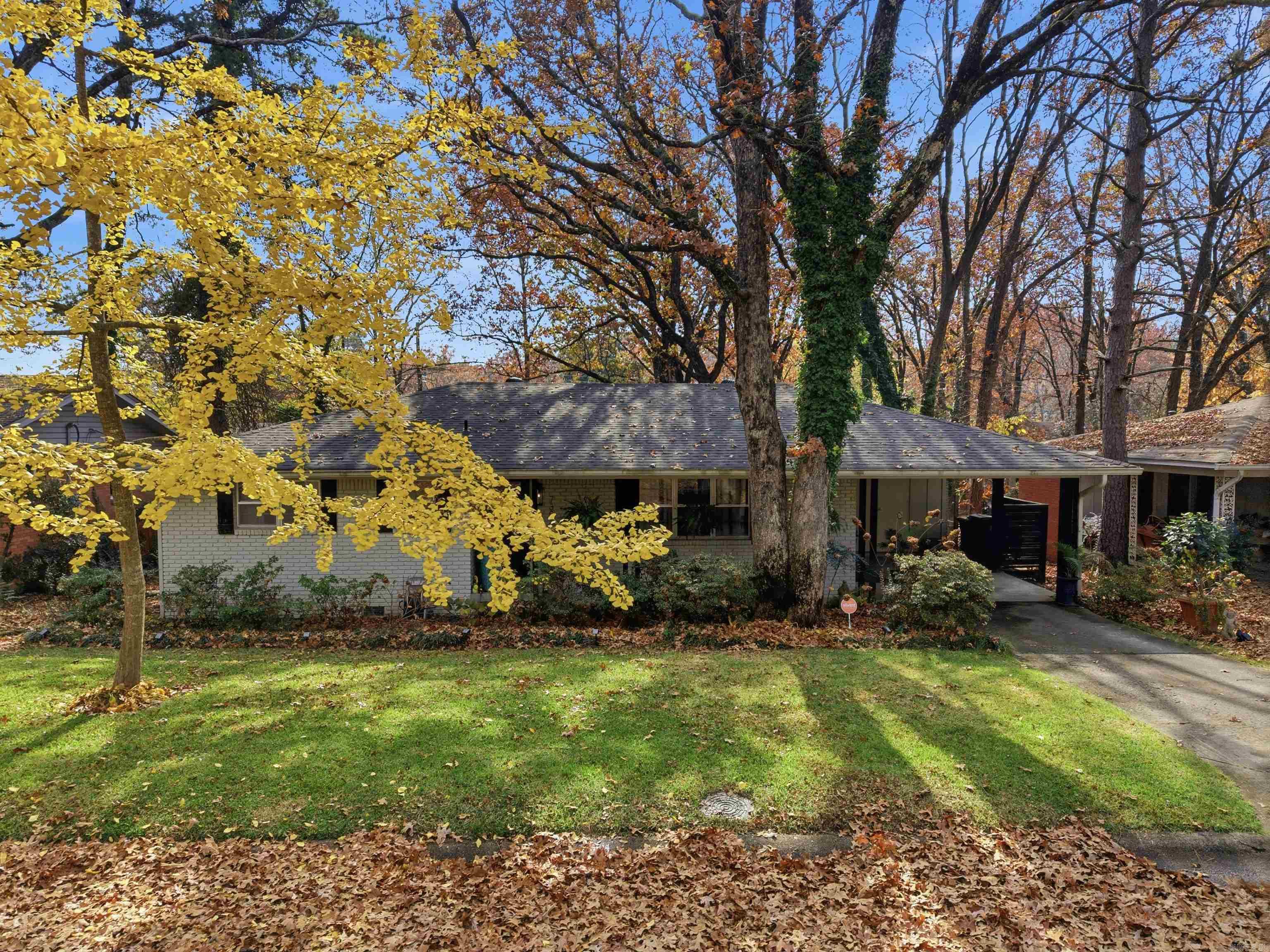 7303 L Street Little Rock, AR 72207