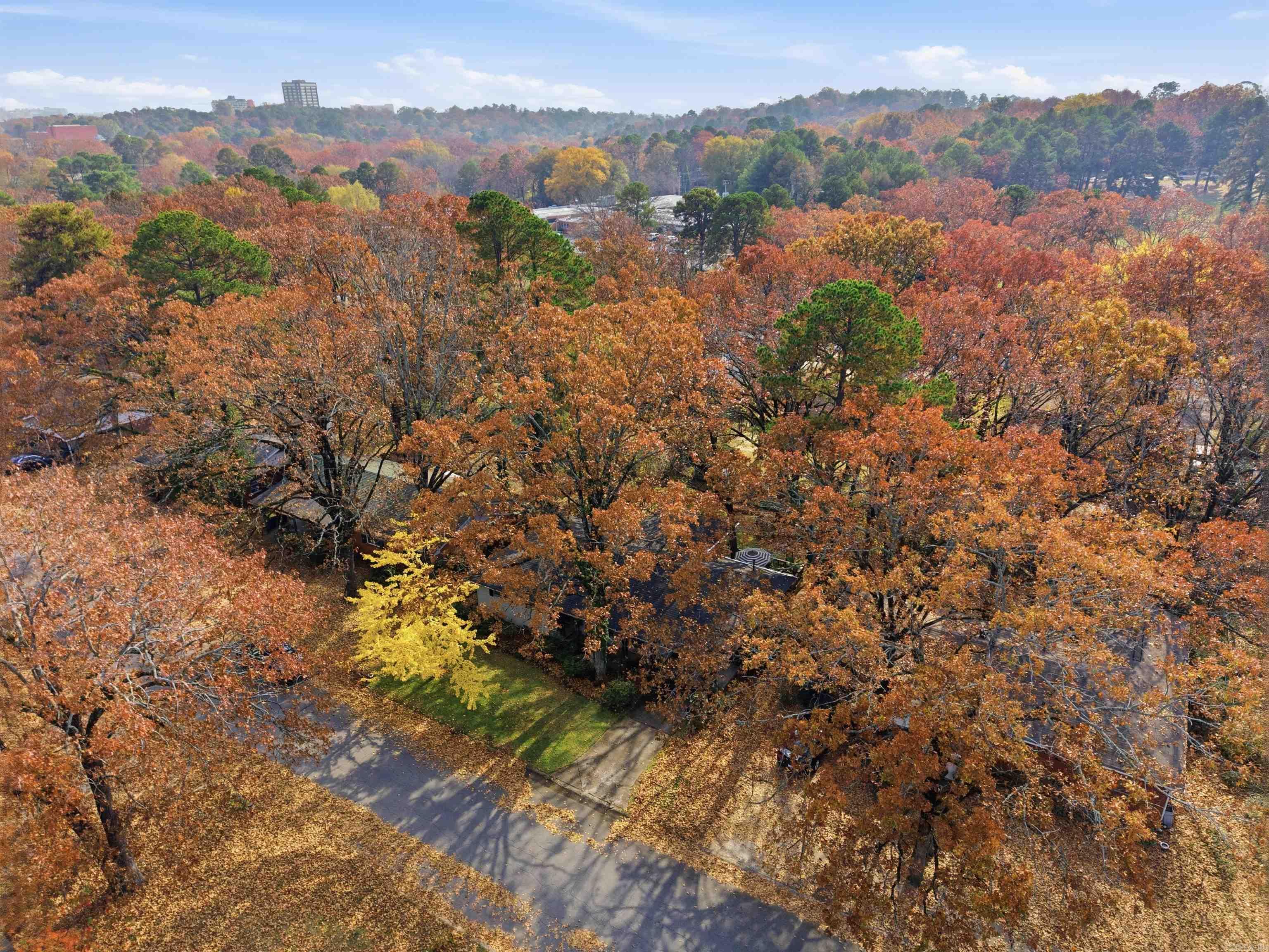 7303 L Street Little Rock, AR 72207