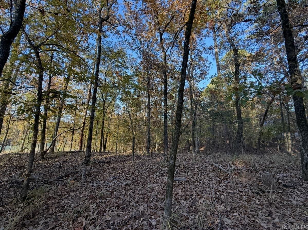 24 Darro  Hot Springs Village, AR