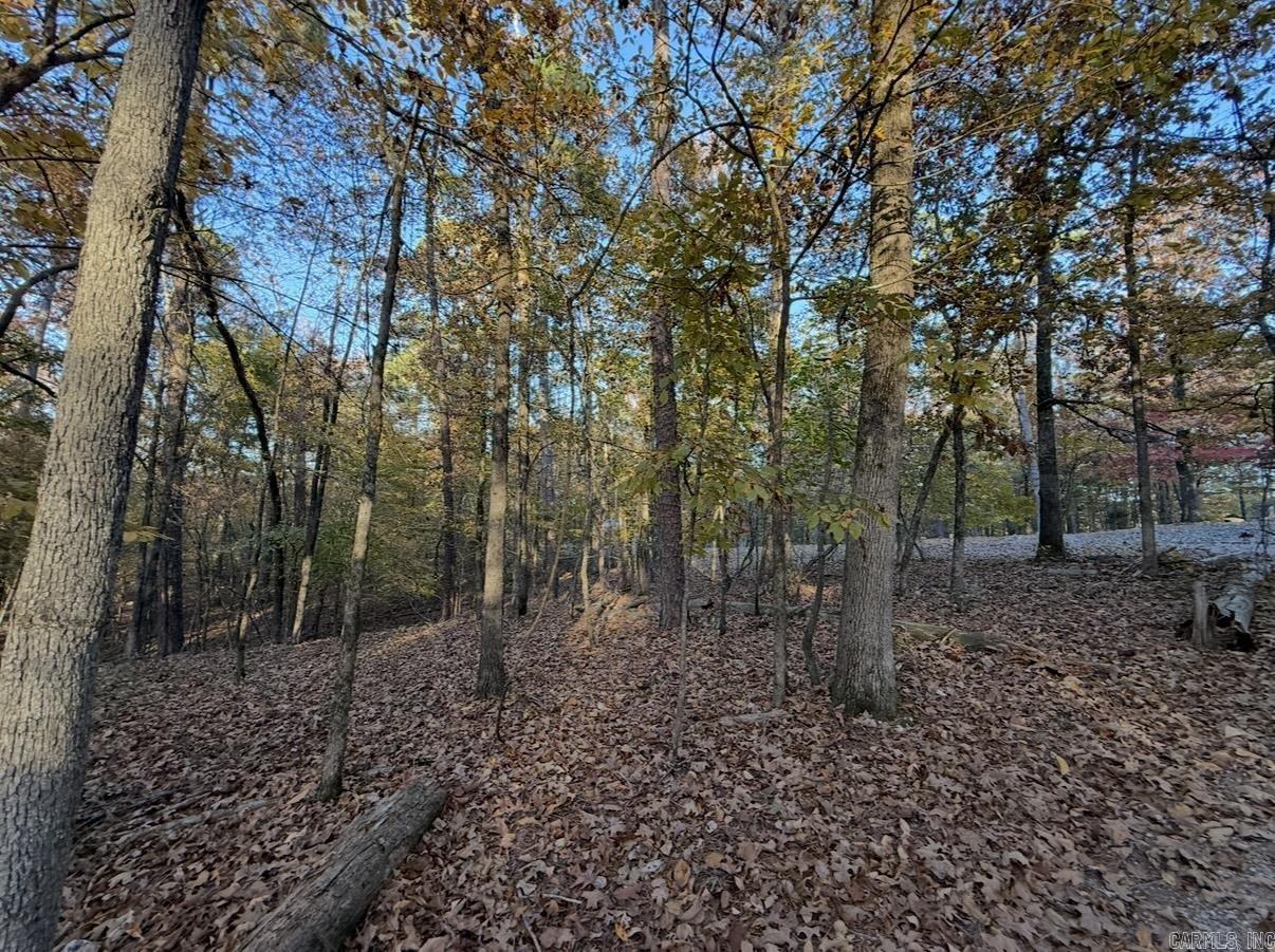 24 Darro  Hot Springs Village, AR