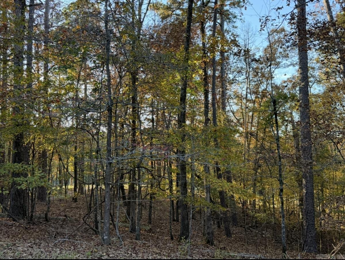 24 Darro  Hot Springs Village, AR