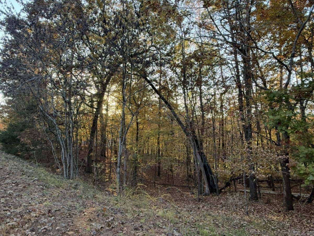 24 Darro  Hot Springs Village, AR