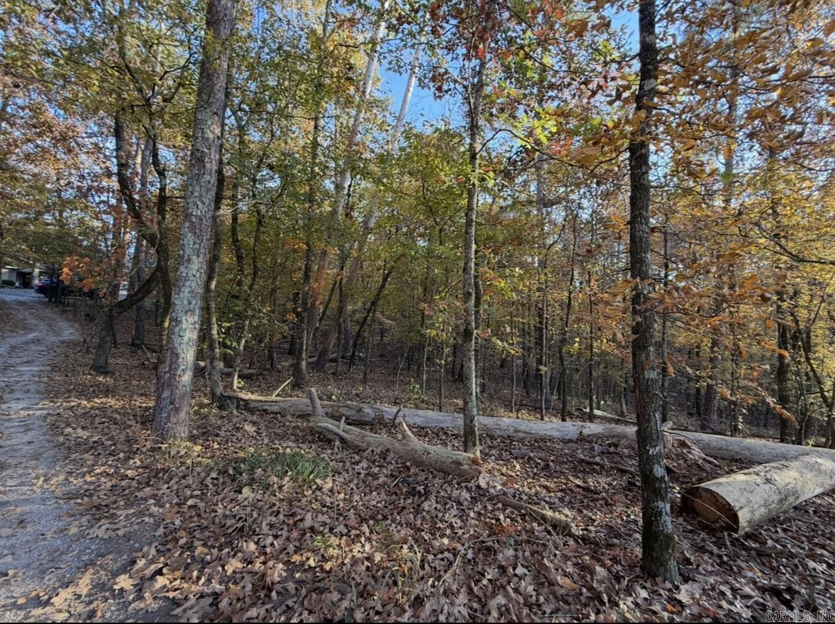 24 Darro  Hot Springs Village, AR