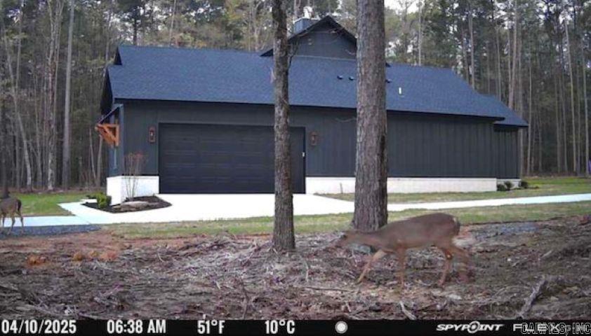 1962 Mountain Park  Shirley, AR