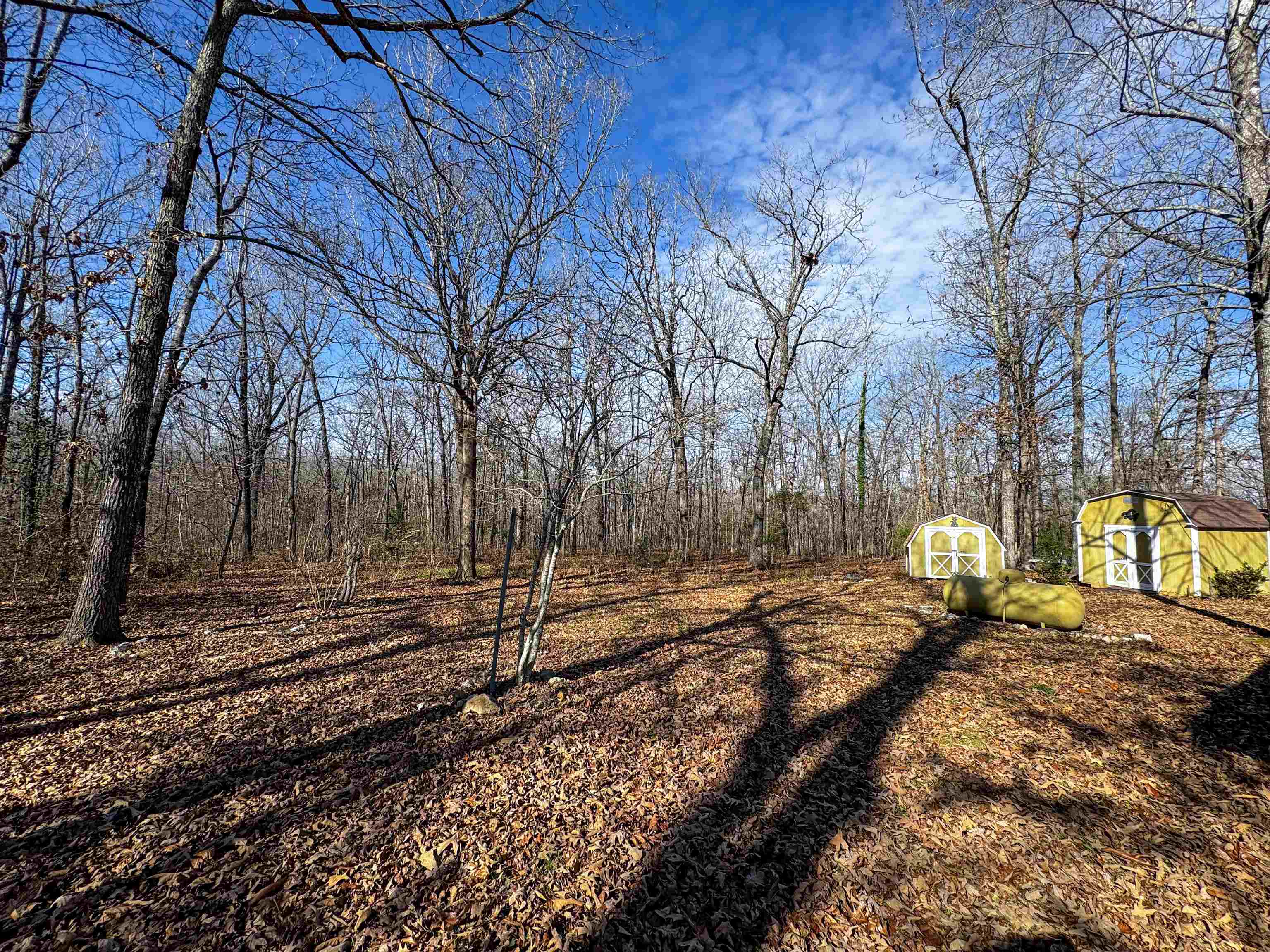 47 Summit Ridge Ln  Williford, AR