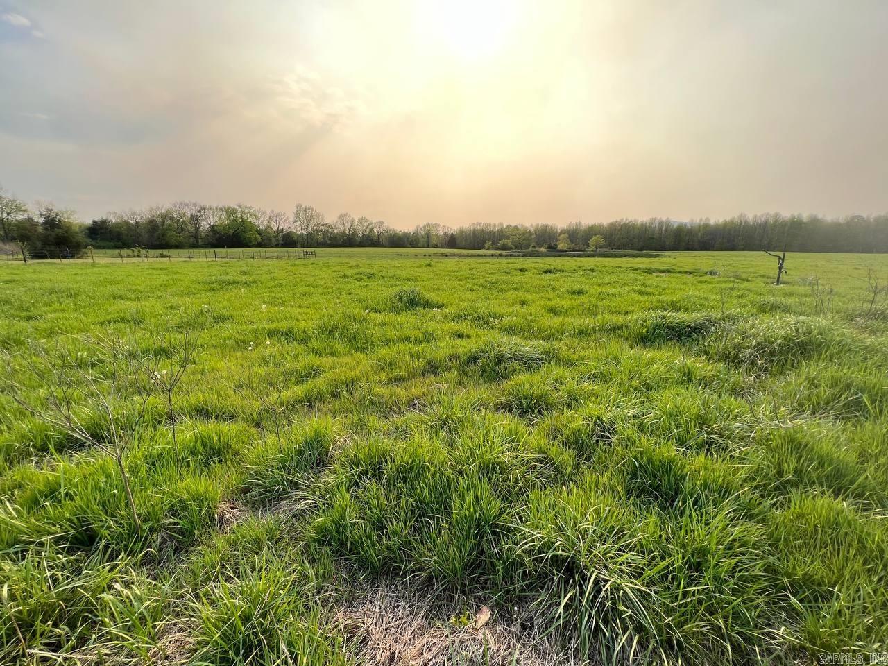 702 Nelson Loop Waldron, AR 72958