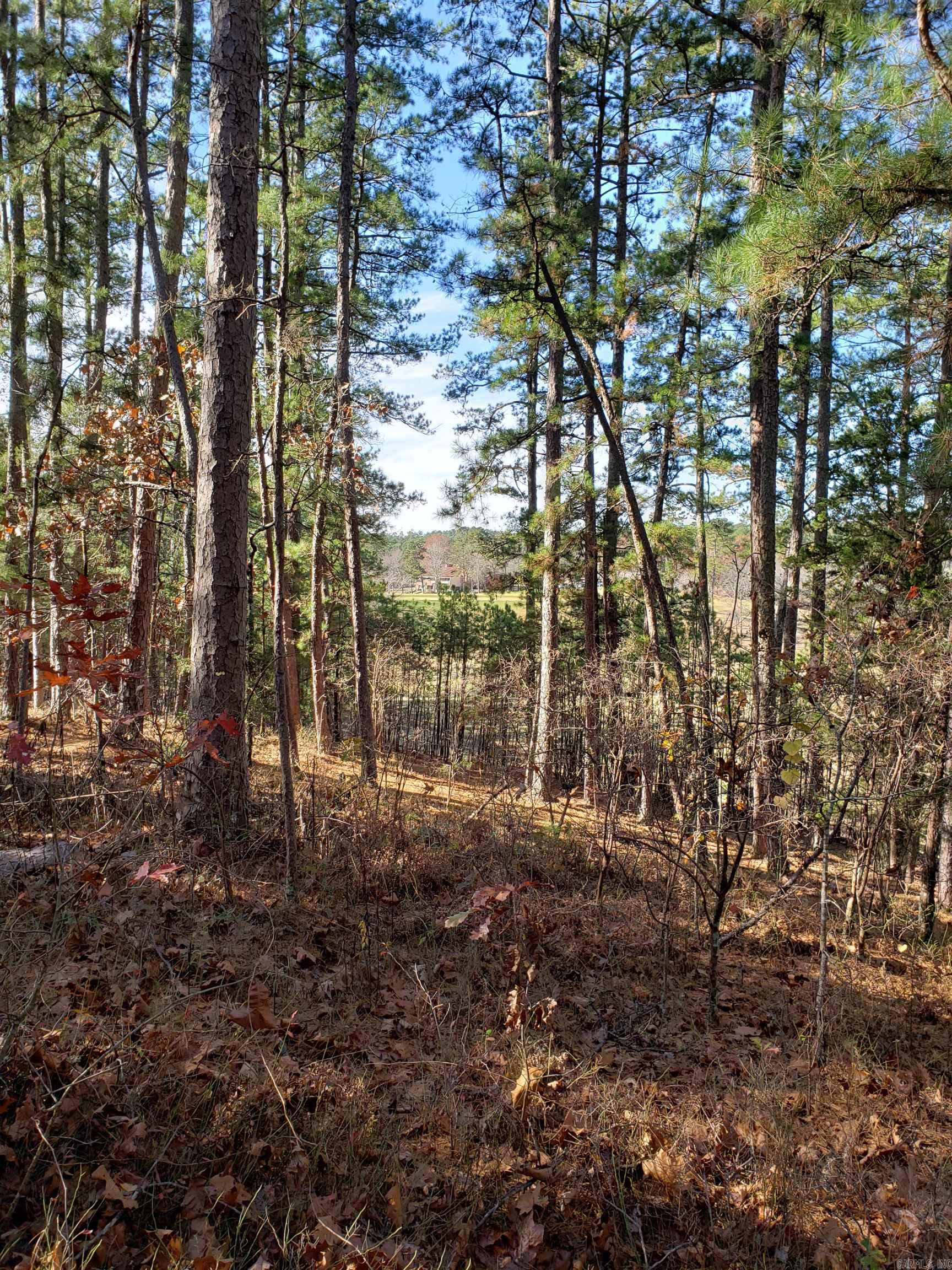 2 Dominar  Hot Springs Village, AR