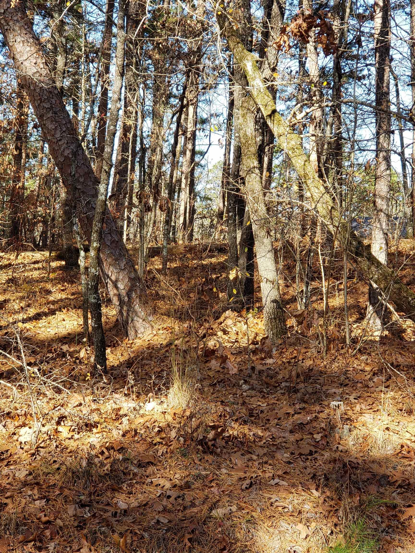 2 Dominar  Hot Springs Village, AR