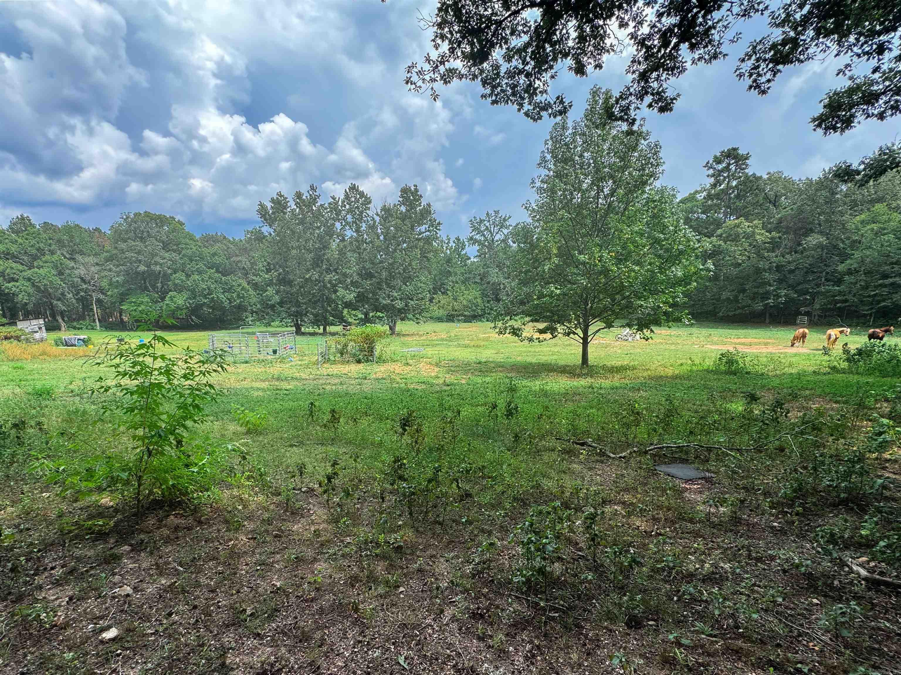 270 HWY  Mount Ida, AR