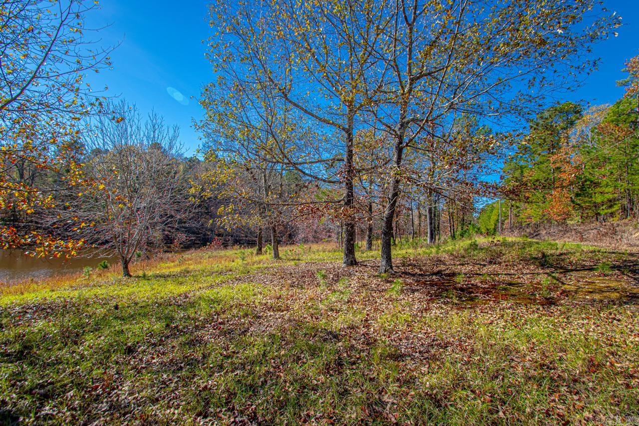 00 Brush Mountain  Paron, AR