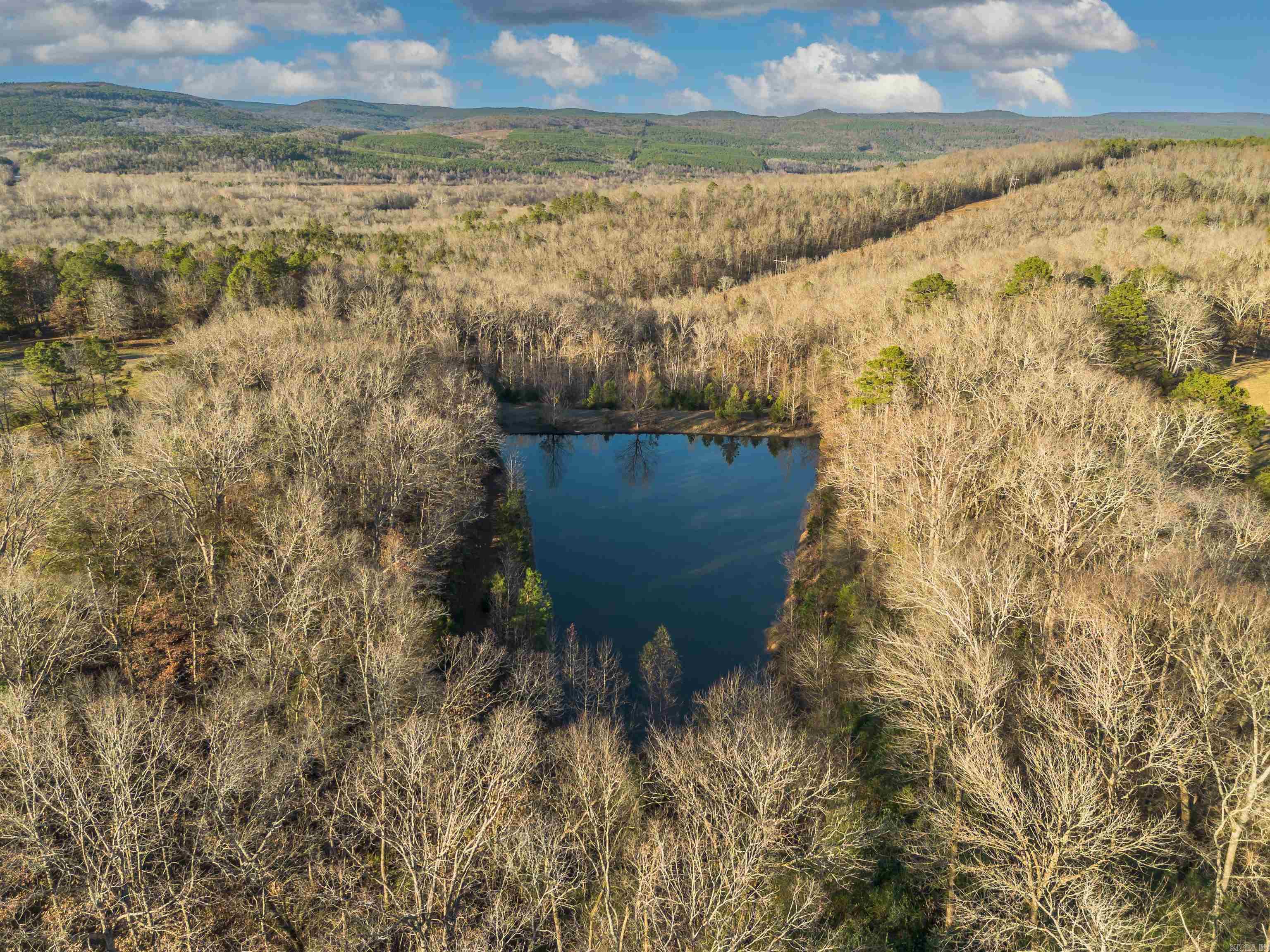 5762 Buttercreek  Scotland, AR