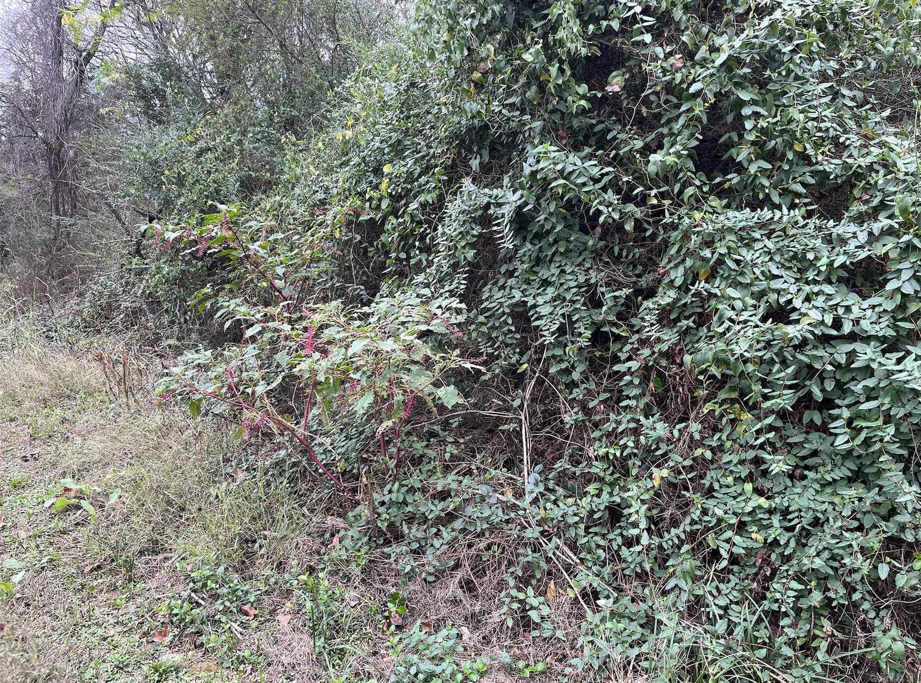 TBD Burrow  Morrilton, AR