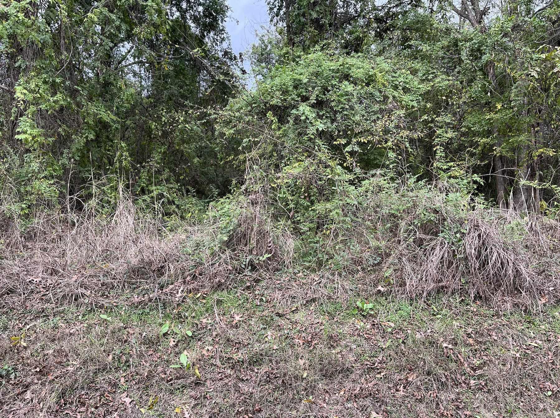 TBD Burrow  Morrilton, AR