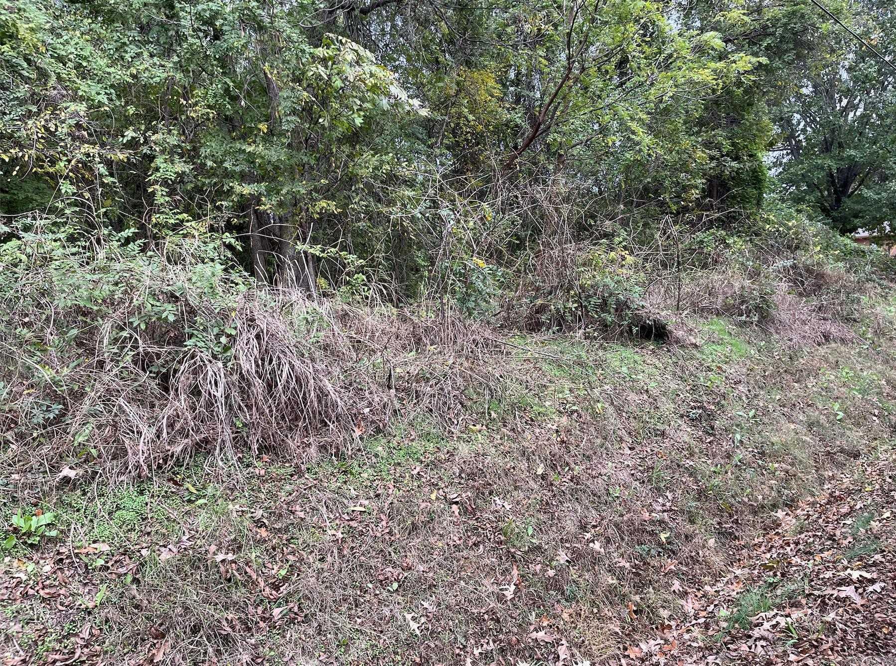 TBD Burrow  Morrilton, AR