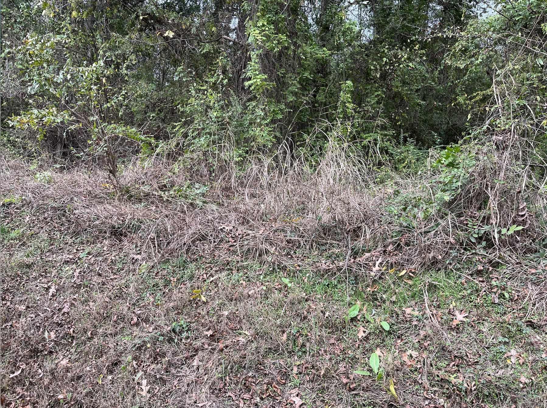 TBD Burrow  Morrilton, AR