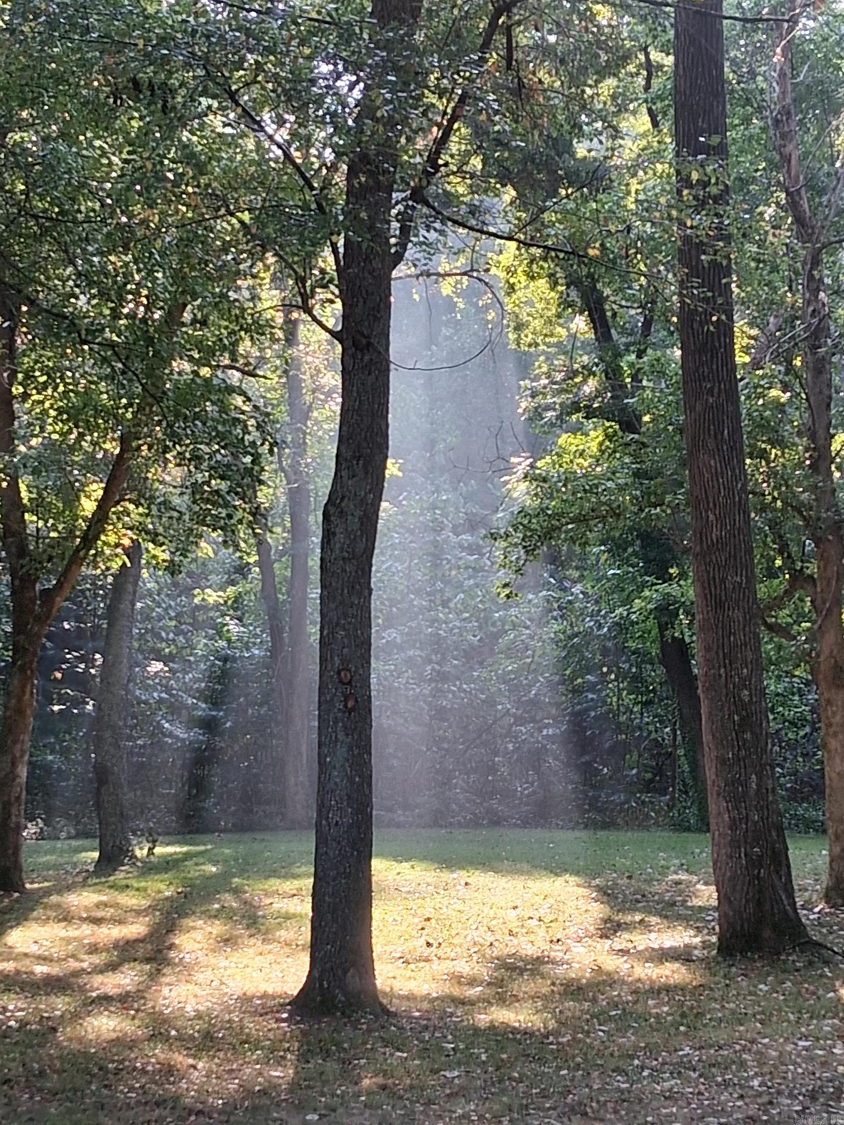 20686 Distress Creek Rd  Harrisburg, AR