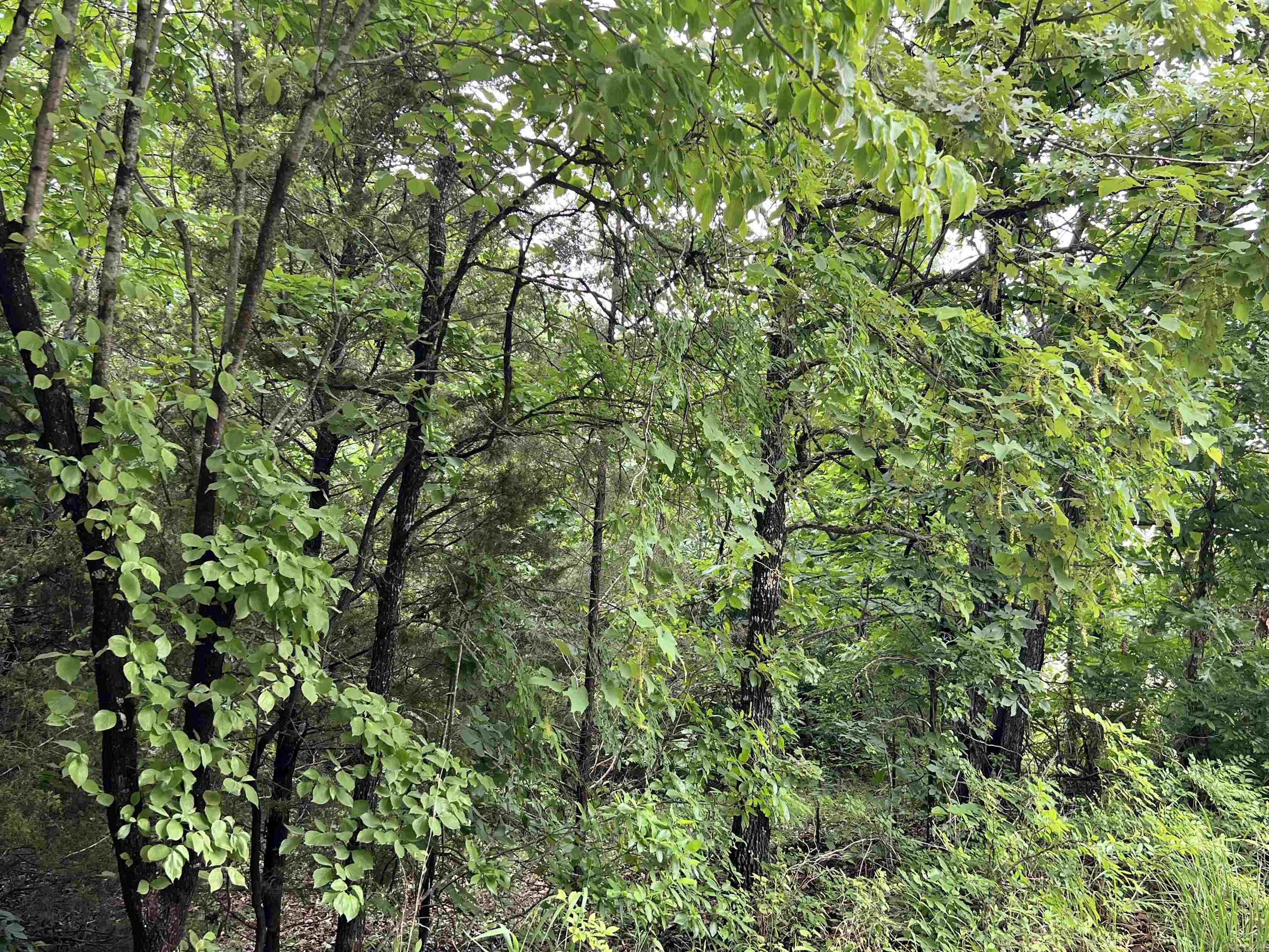 000 Hwy 63 S  Mammoth Spring, AR