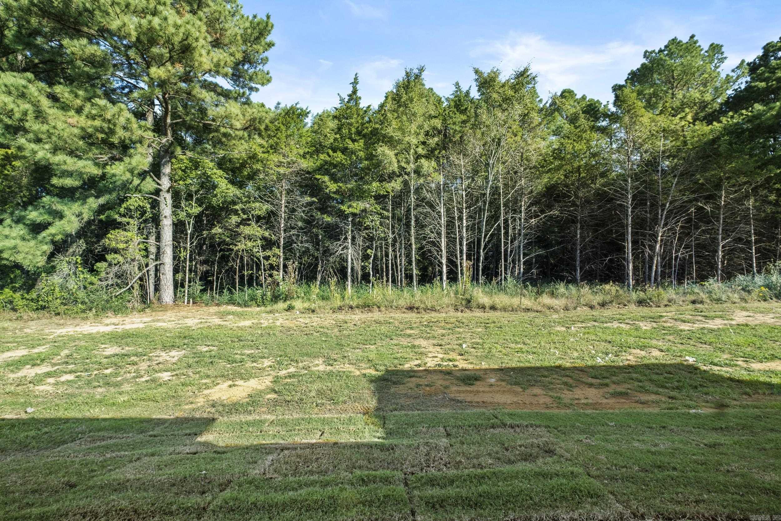 1712 Seattle Slew  Searcy, AR