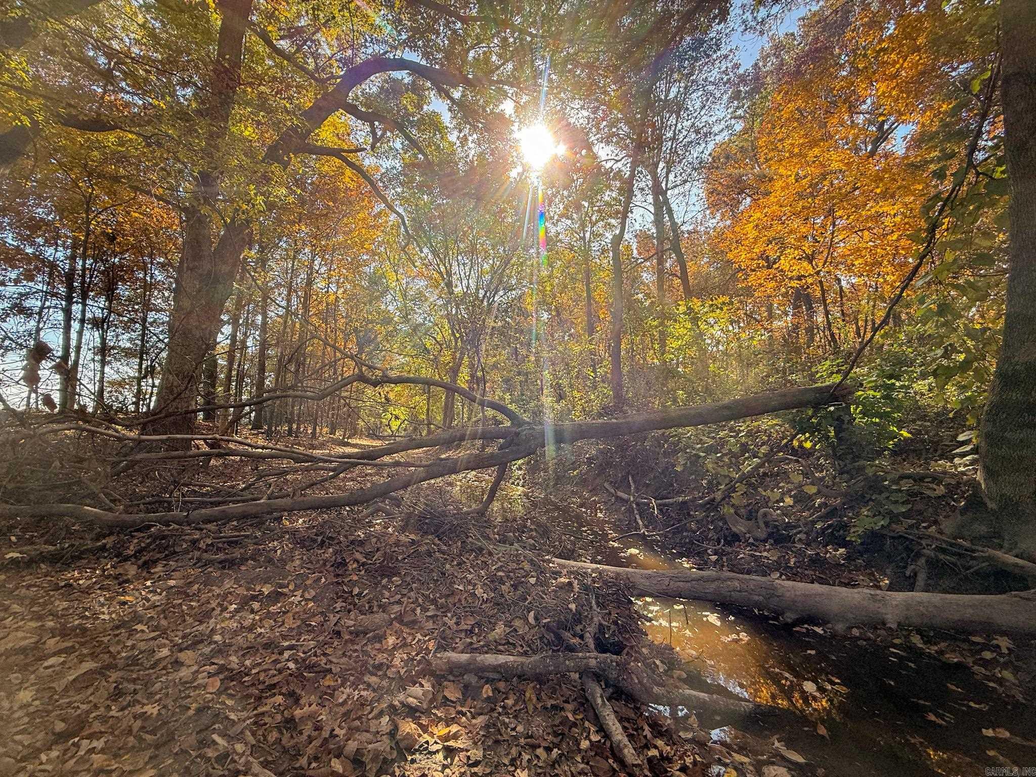  County Road 105  Hickory Ridge, AR