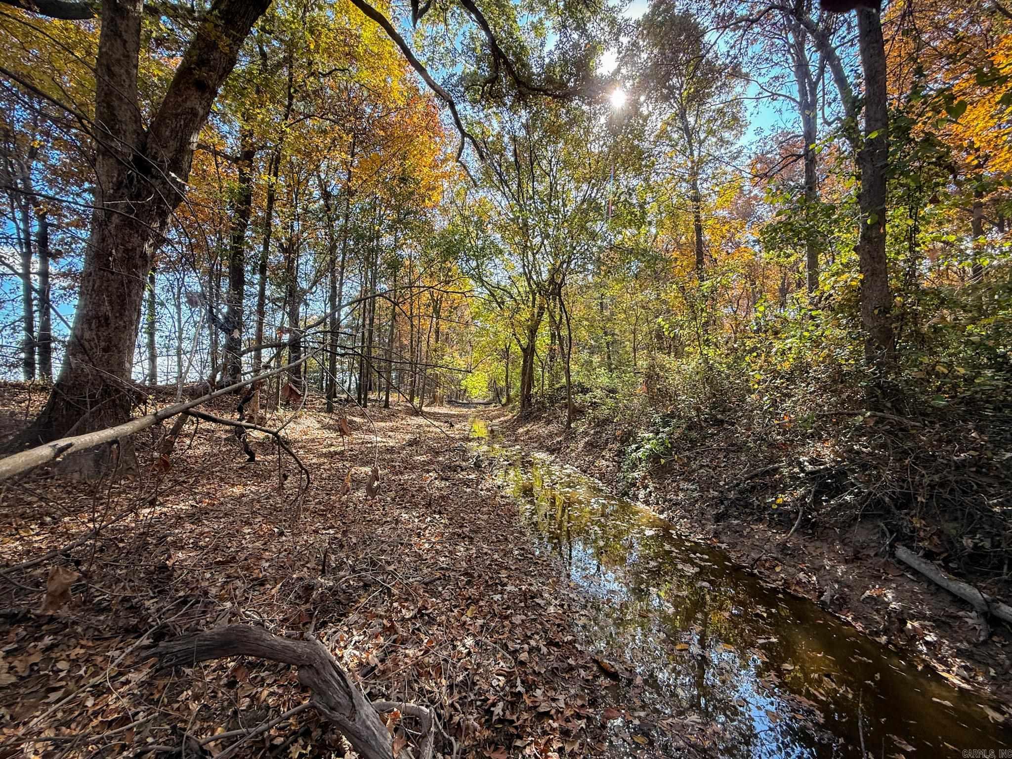  County Road 105  Hickory Ridge, AR