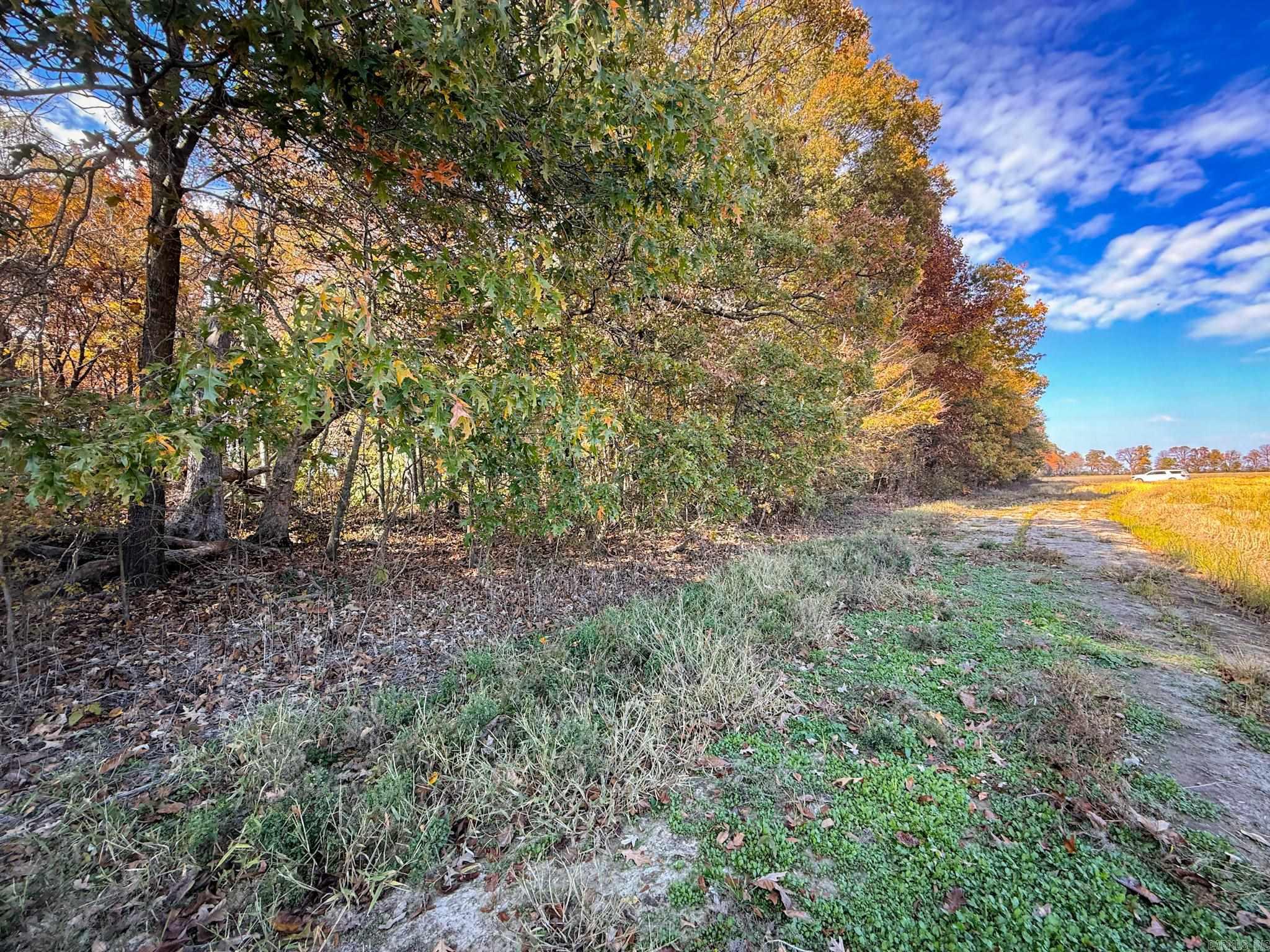  County Road 105  Hickory Ridge, AR