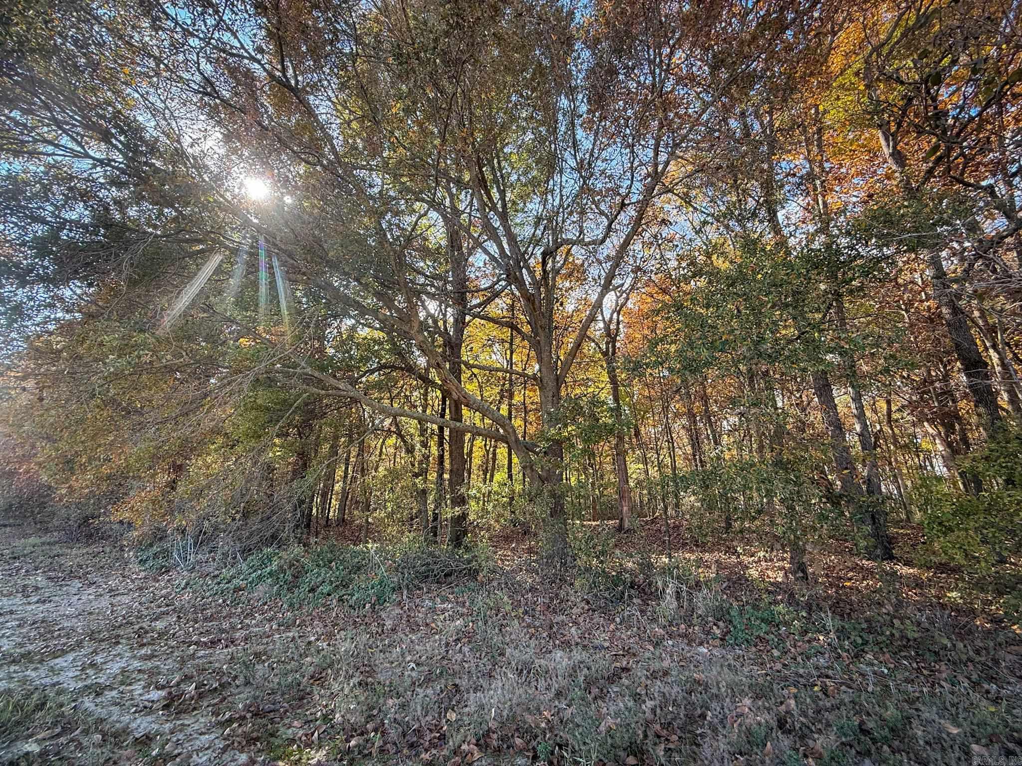  County Road 105  Hickory Ridge, AR