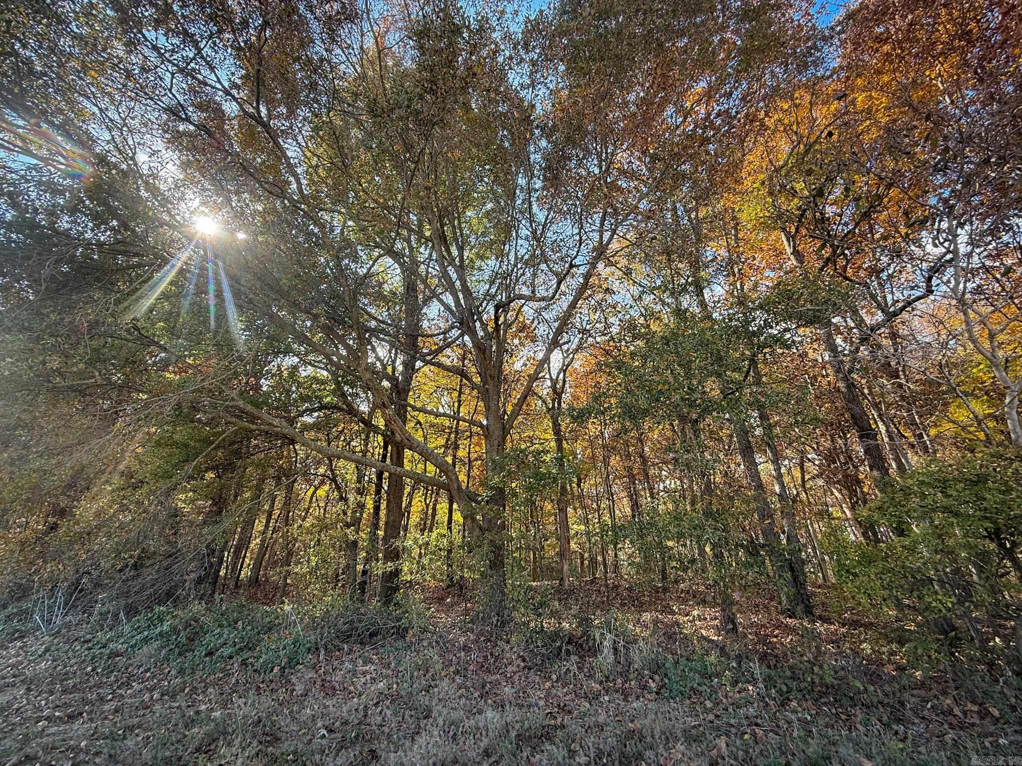  County Road 105  Hickory Ridge, AR