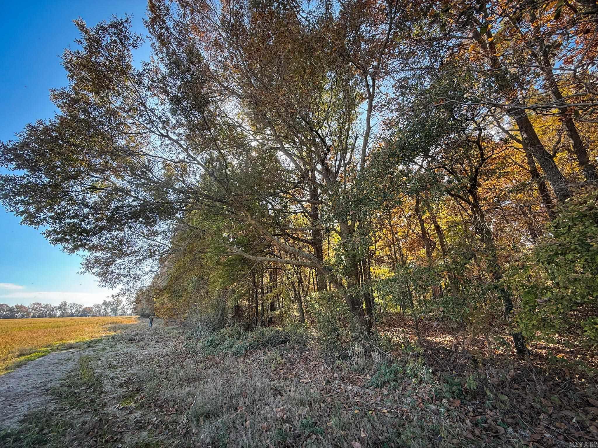  County Road 105  Hickory Ridge, AR